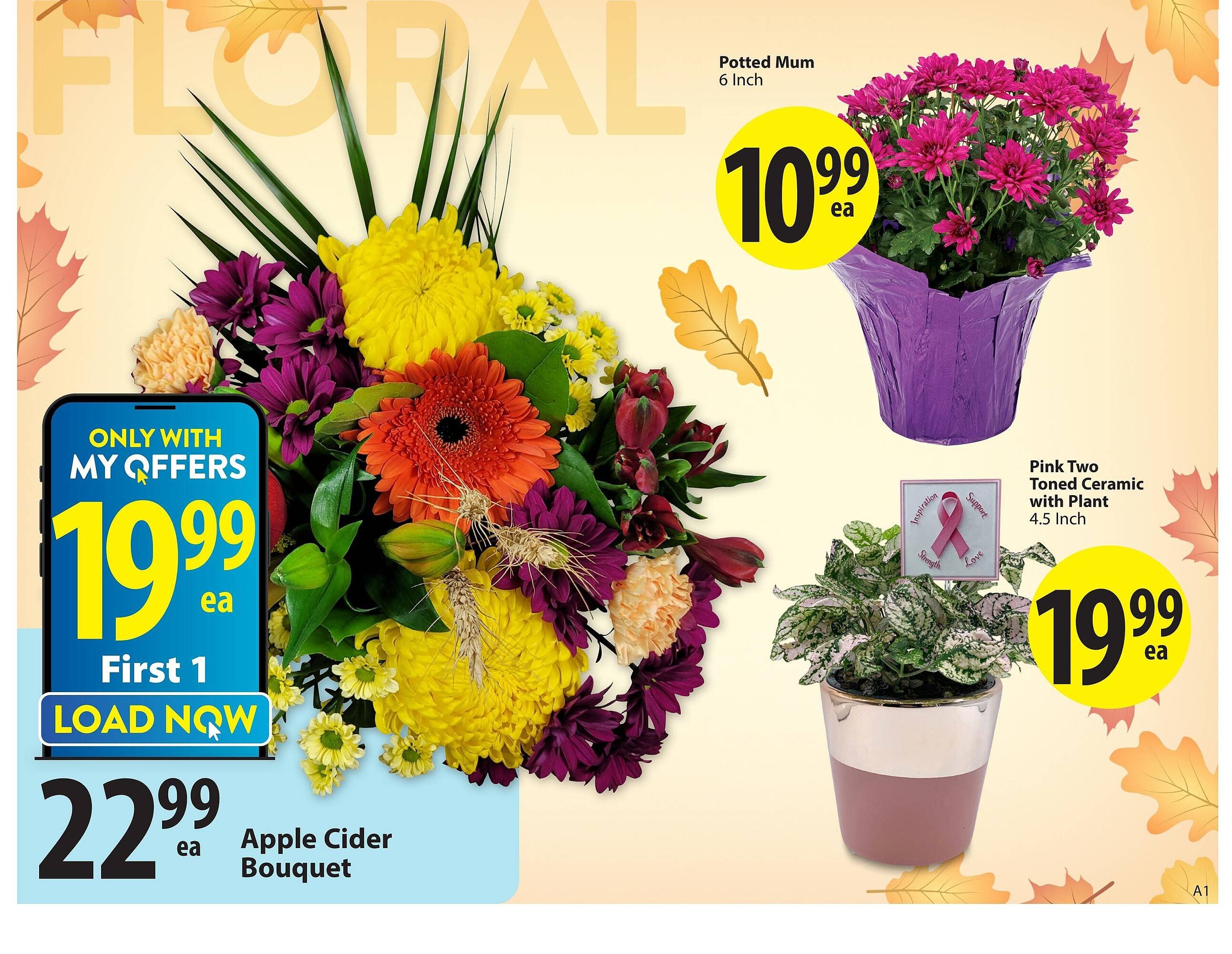 Save on Foods flyer