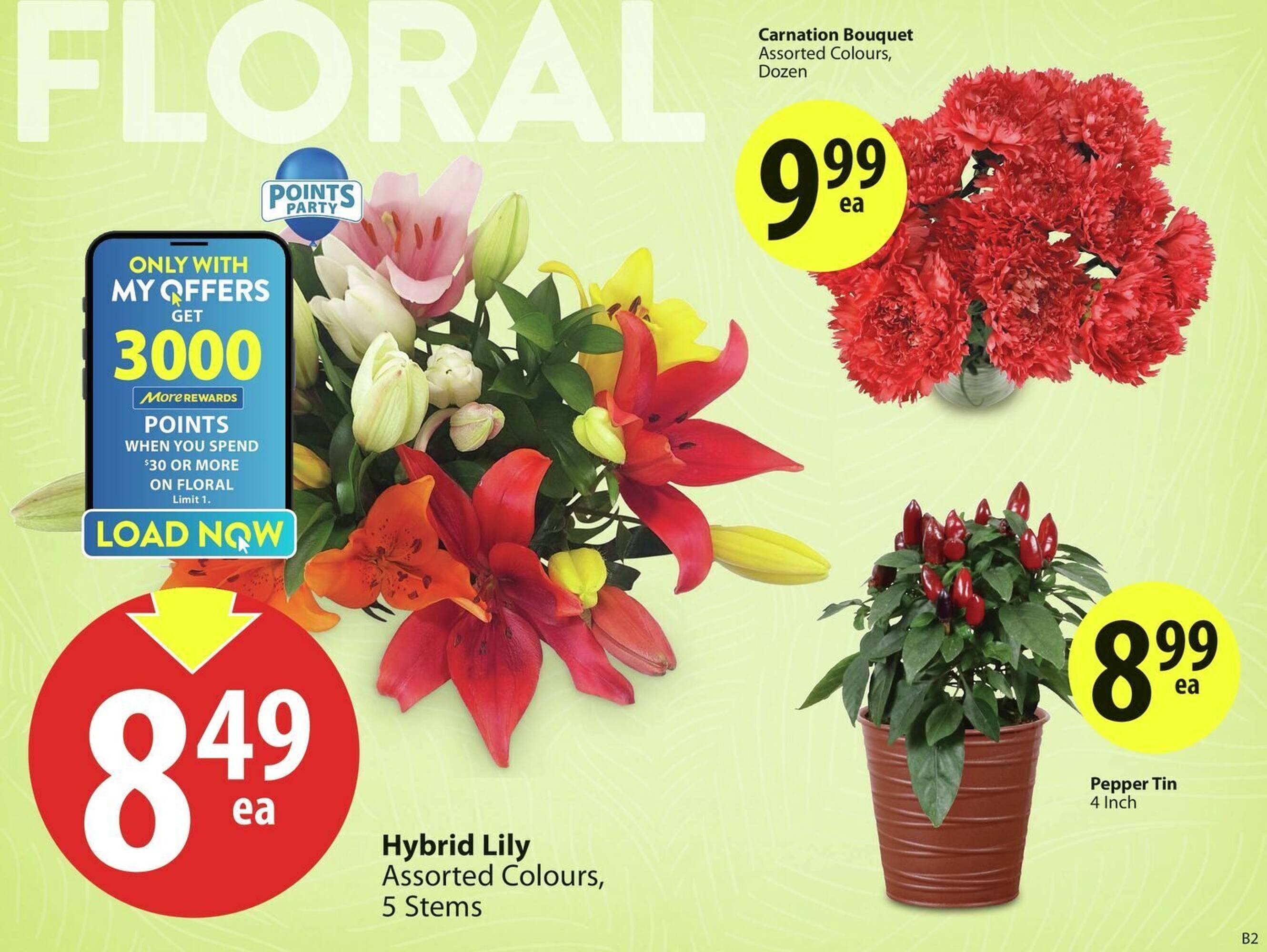 Save on Foods flyer