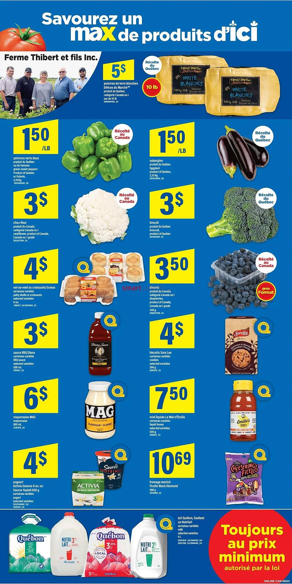 Maxi flyer
