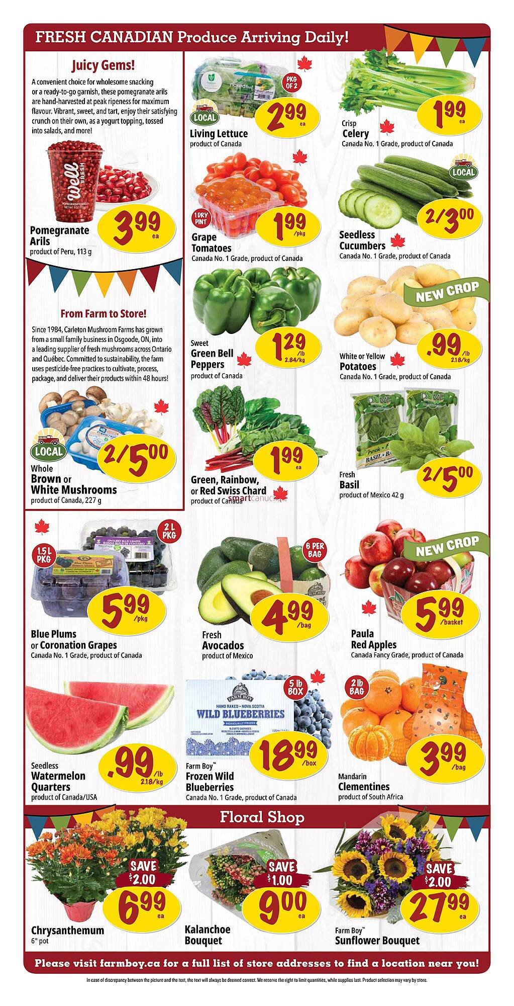 Farm Boy flyer