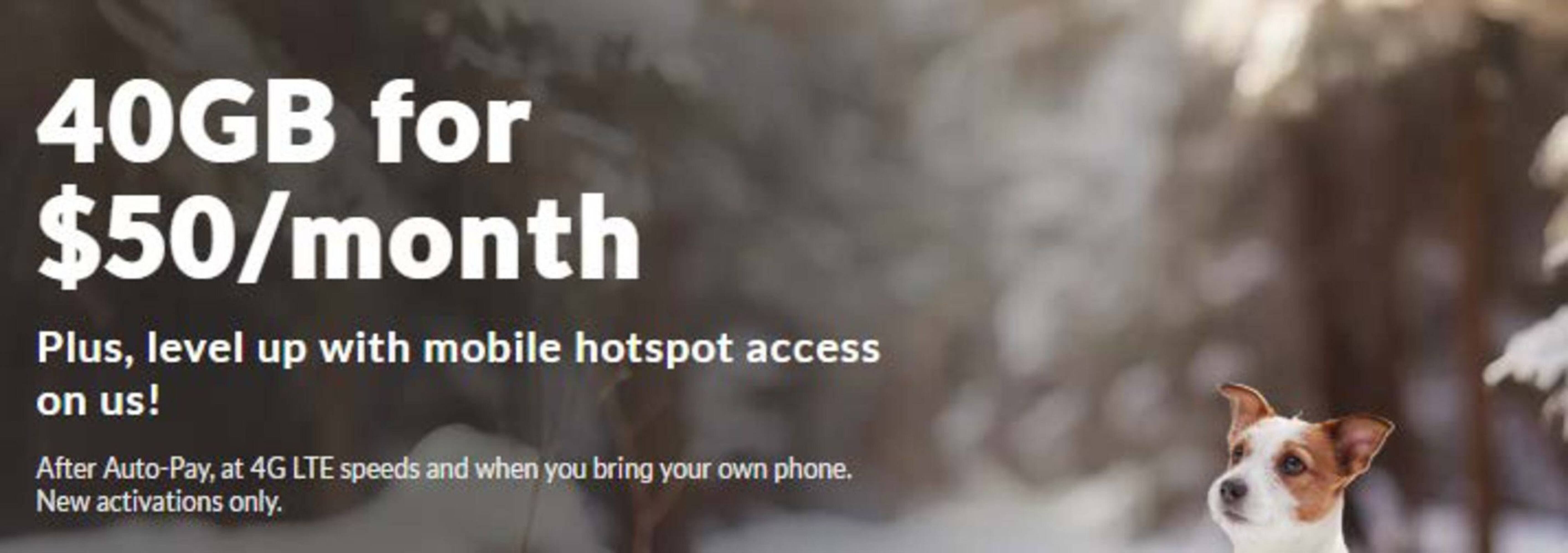 Fido flyer (2026-01-19 - 2026-02-09) | 1