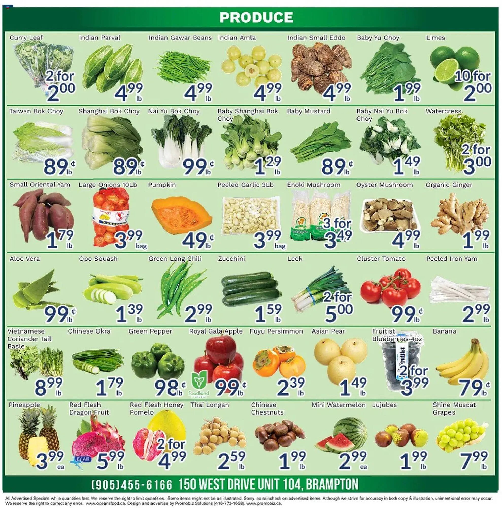 Oceans Fresh Food Market flyer (2025-11-07 - 2025-11-13) | 4