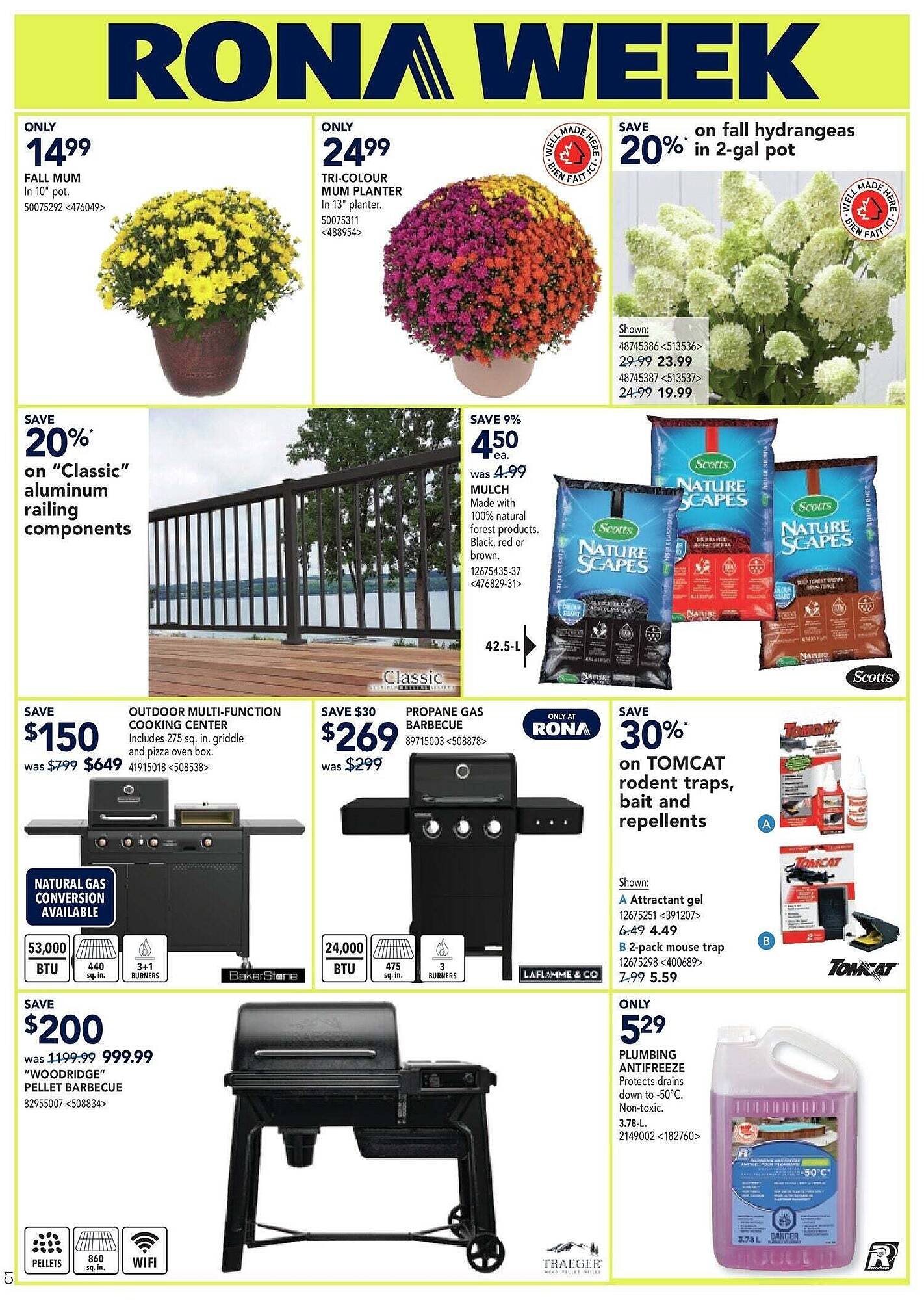 RONA flyer
