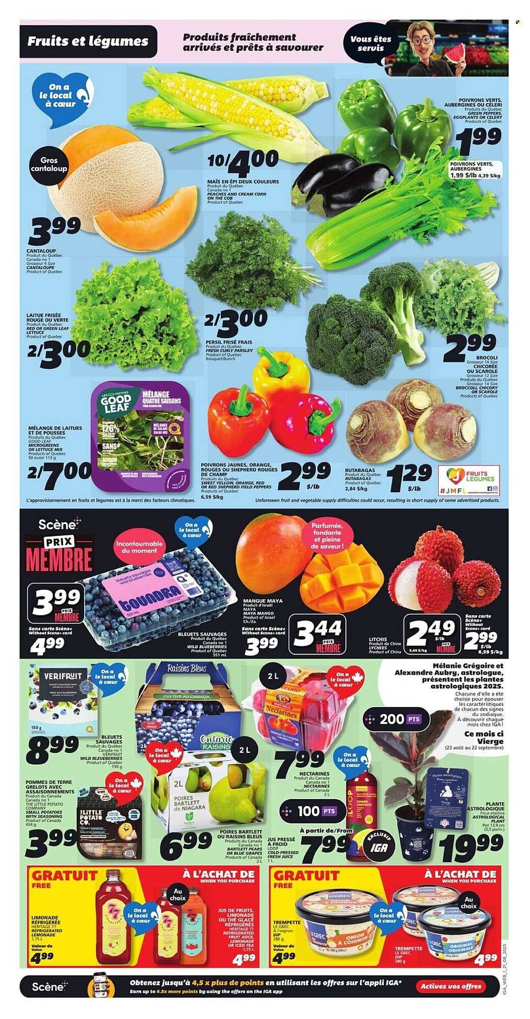 IGA flyer