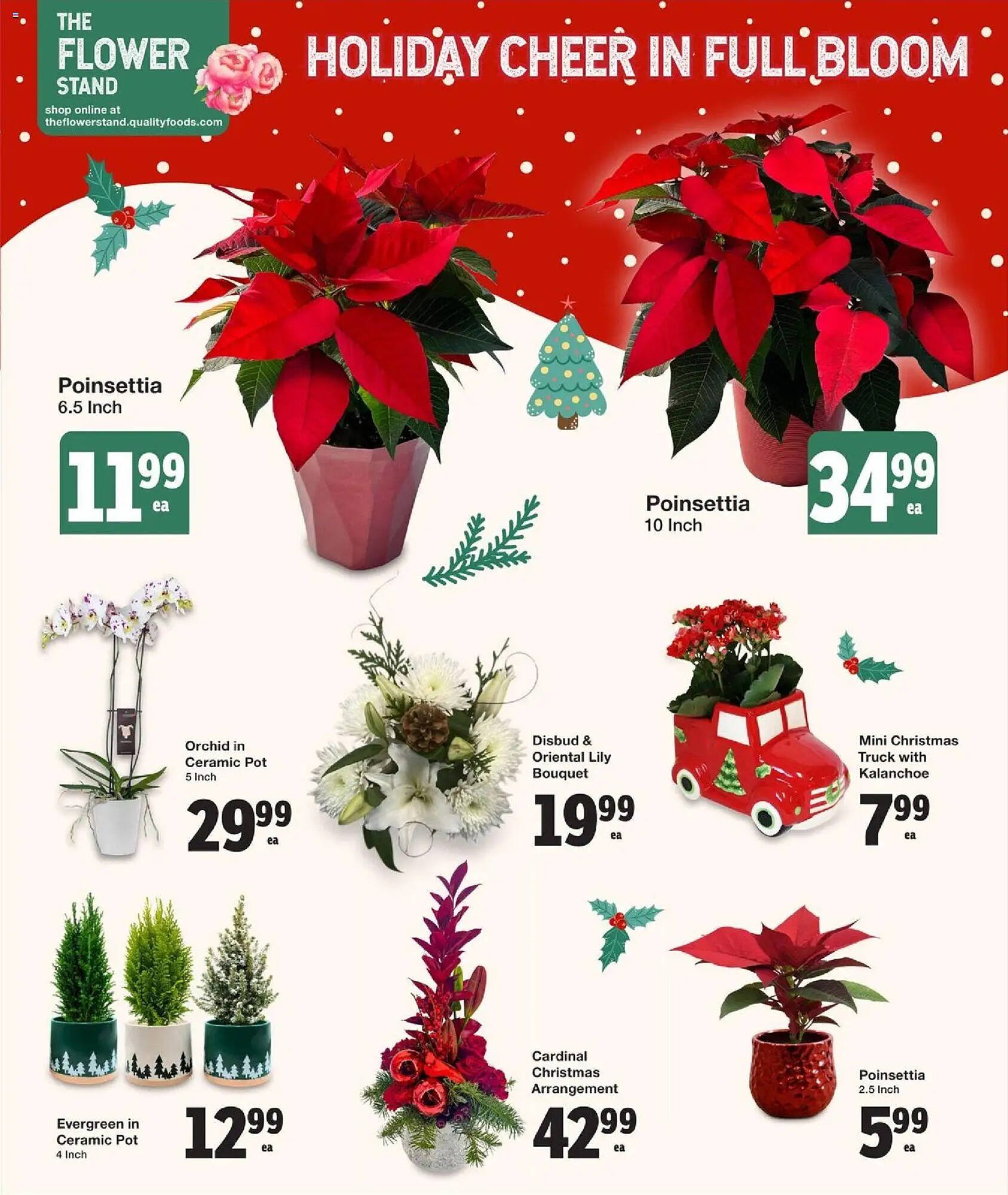 Quality Foods flyer (2025-12-11 - 2025-12-17) | 3