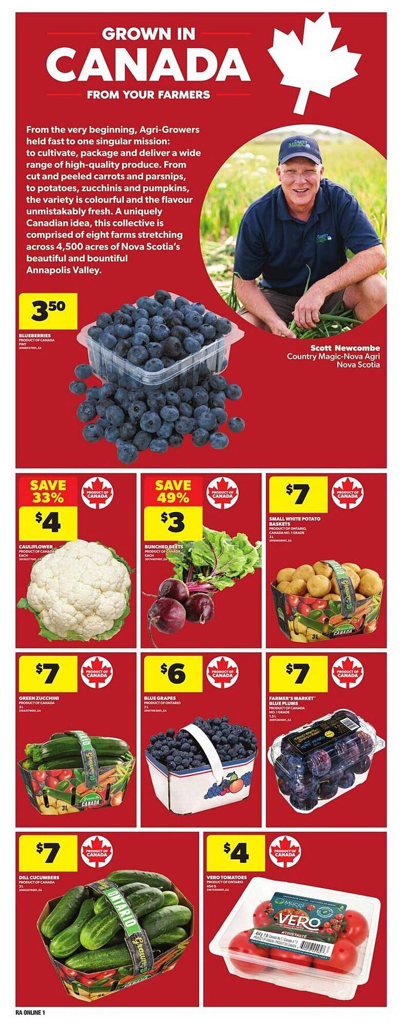 Real Canadian Superstore flyer