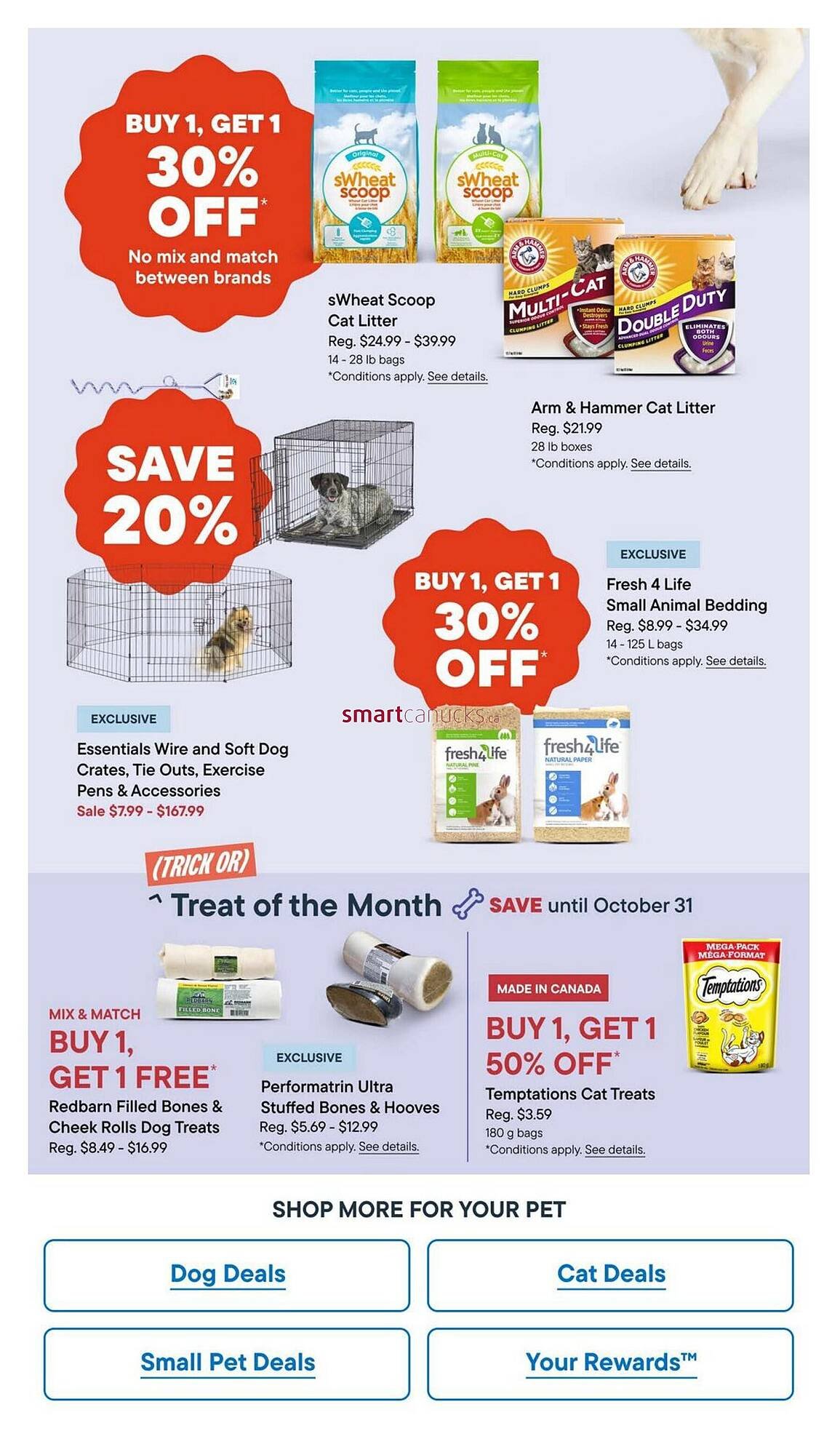 Petvalu flyer
