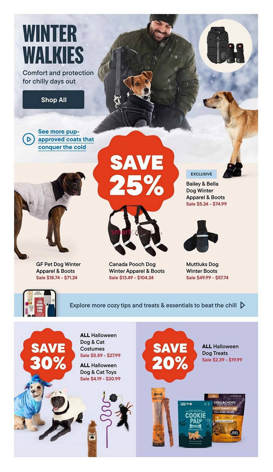 Petvalu flyer