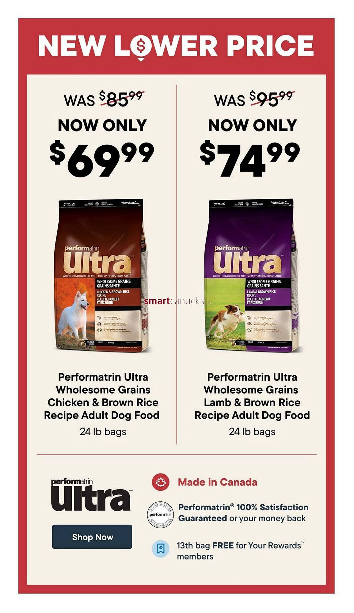 Petvalu flyer