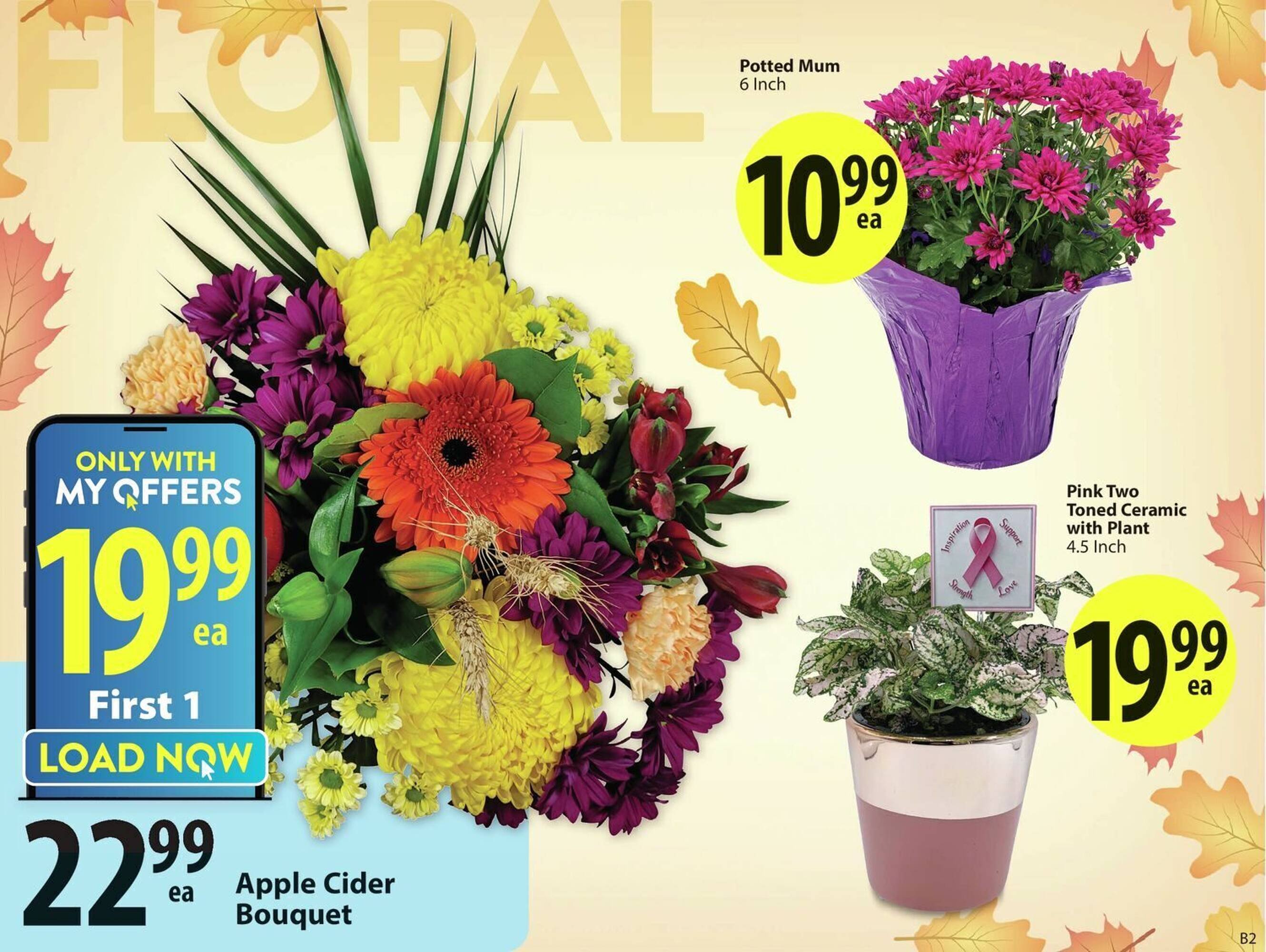 Save on Foods flyer