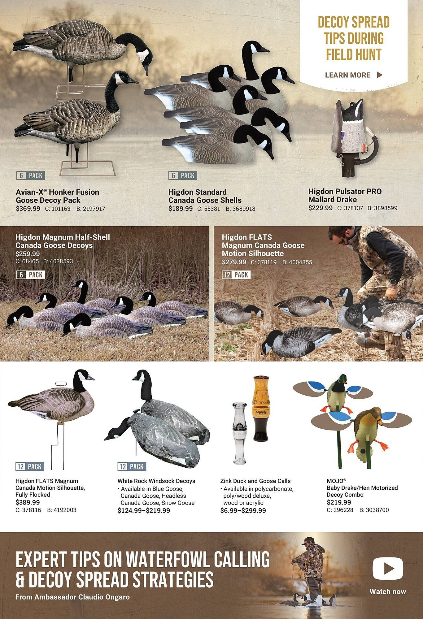 Bass Pro flyer