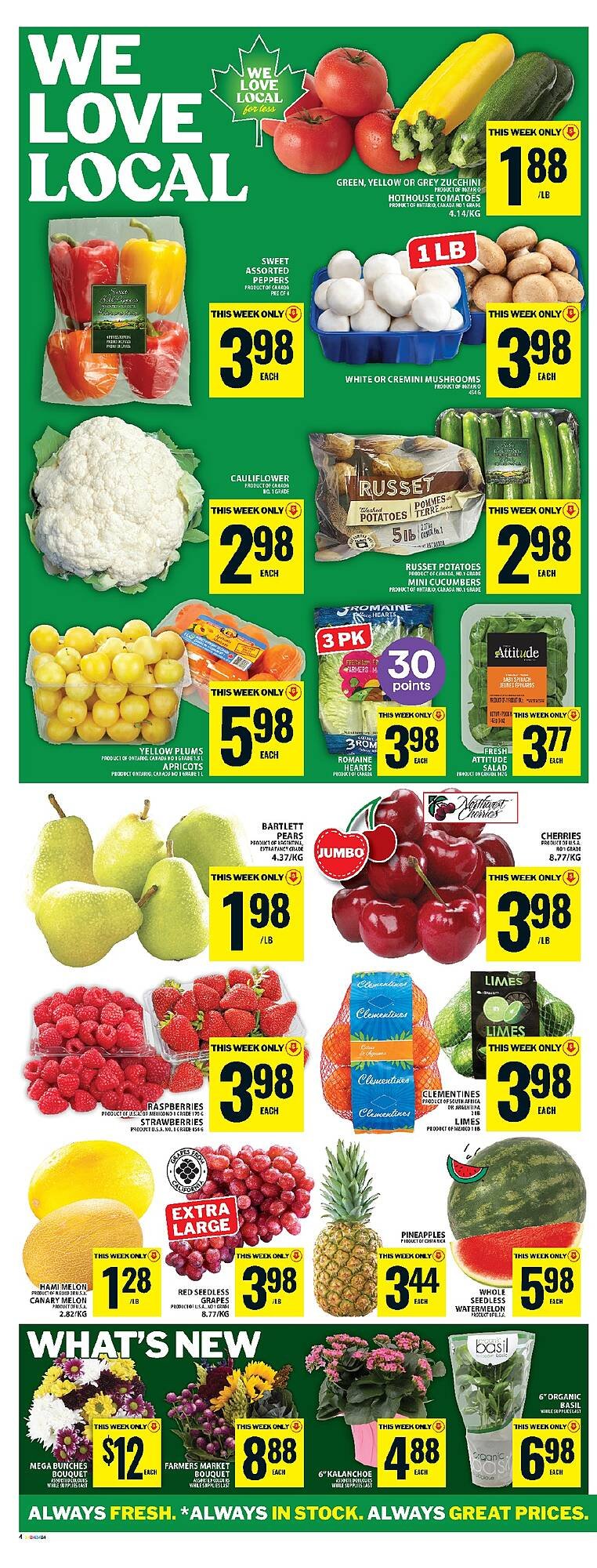 Food Basics flyer