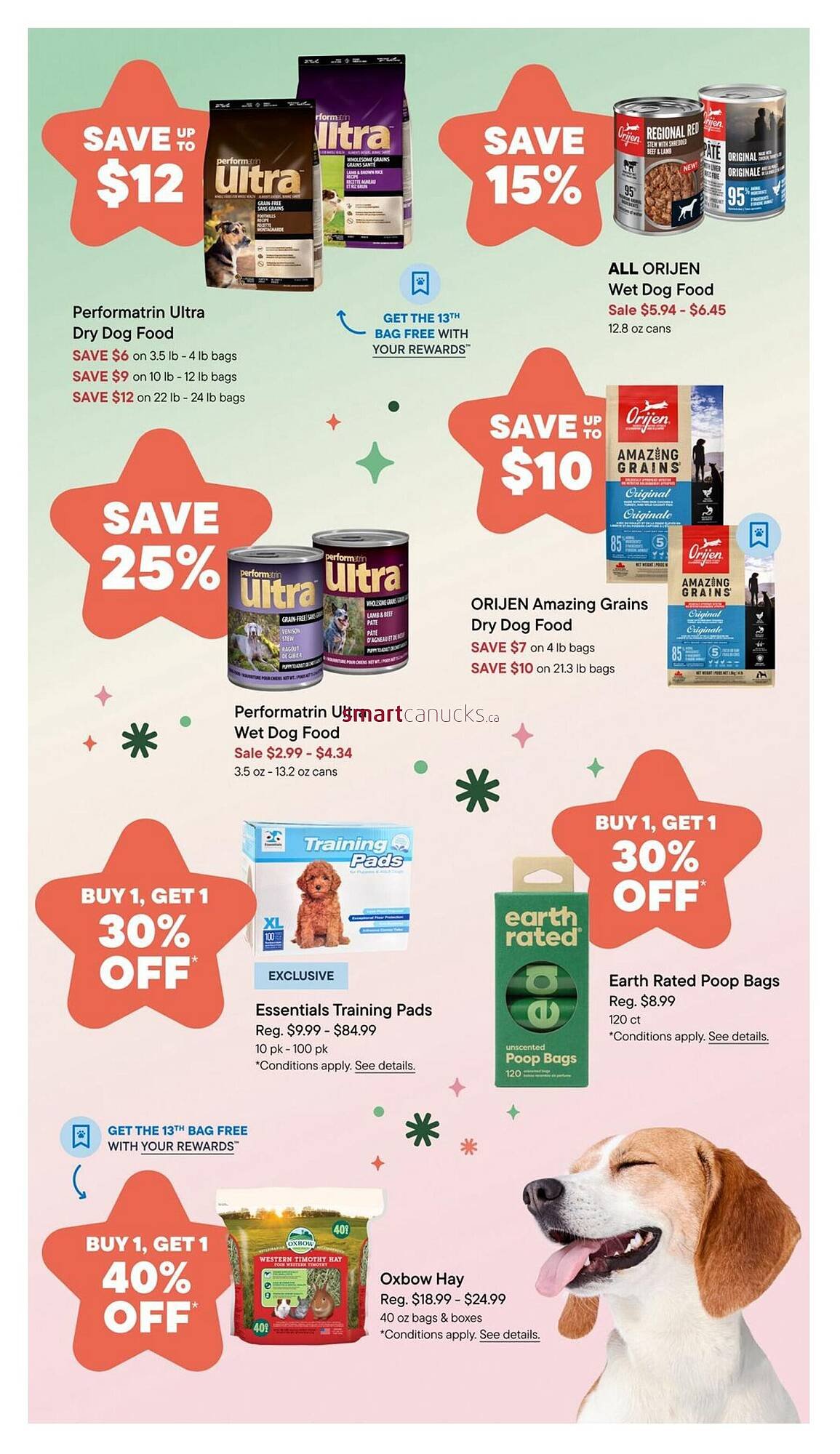 Petvalu flyer