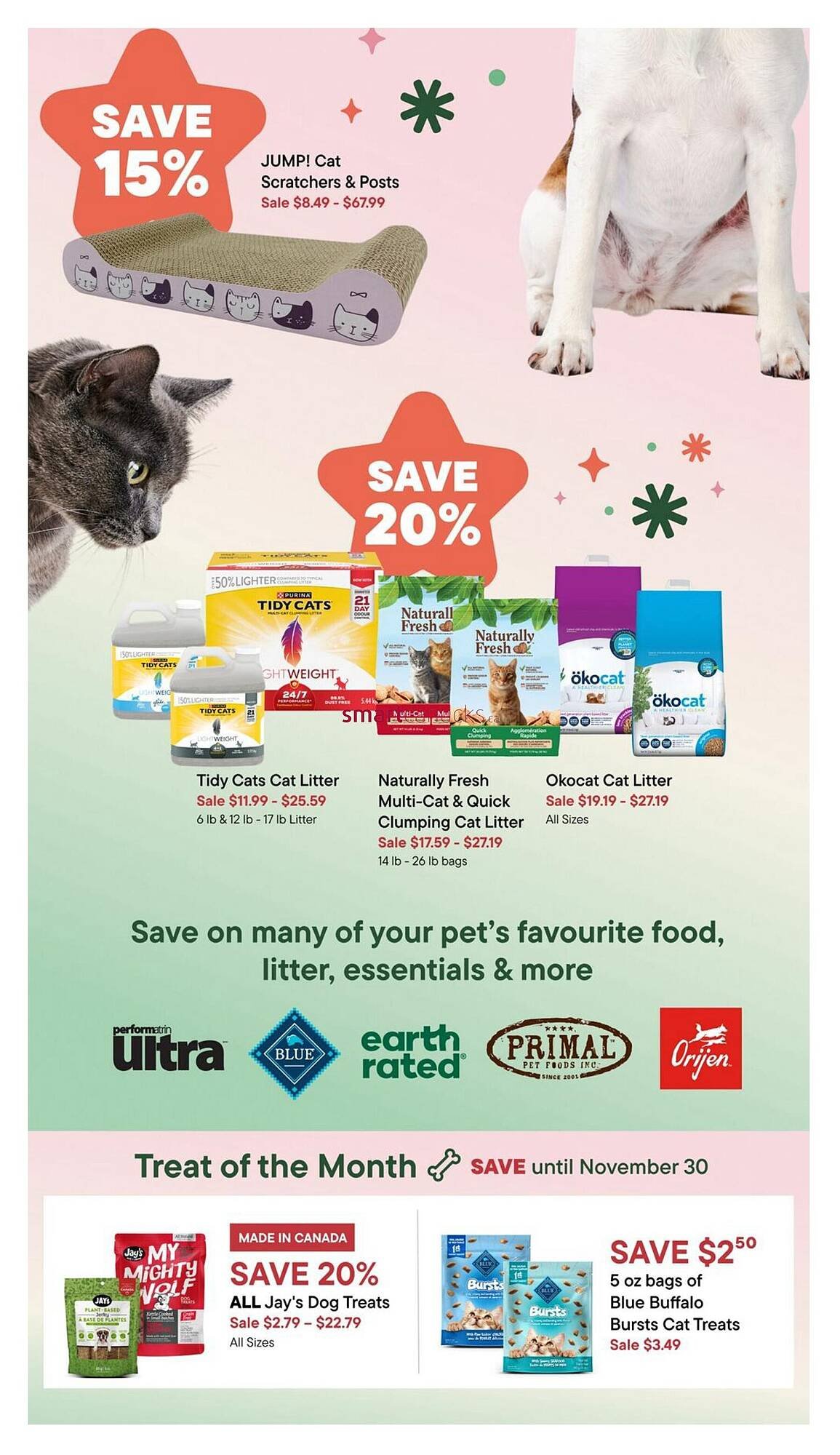Petvalu flyer