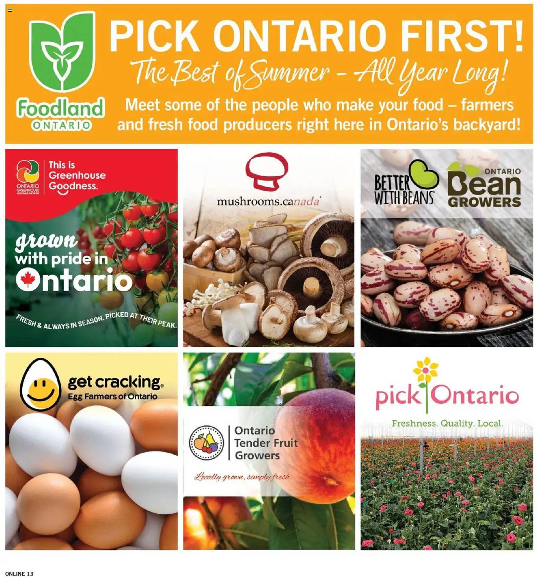 Fortinos flyer