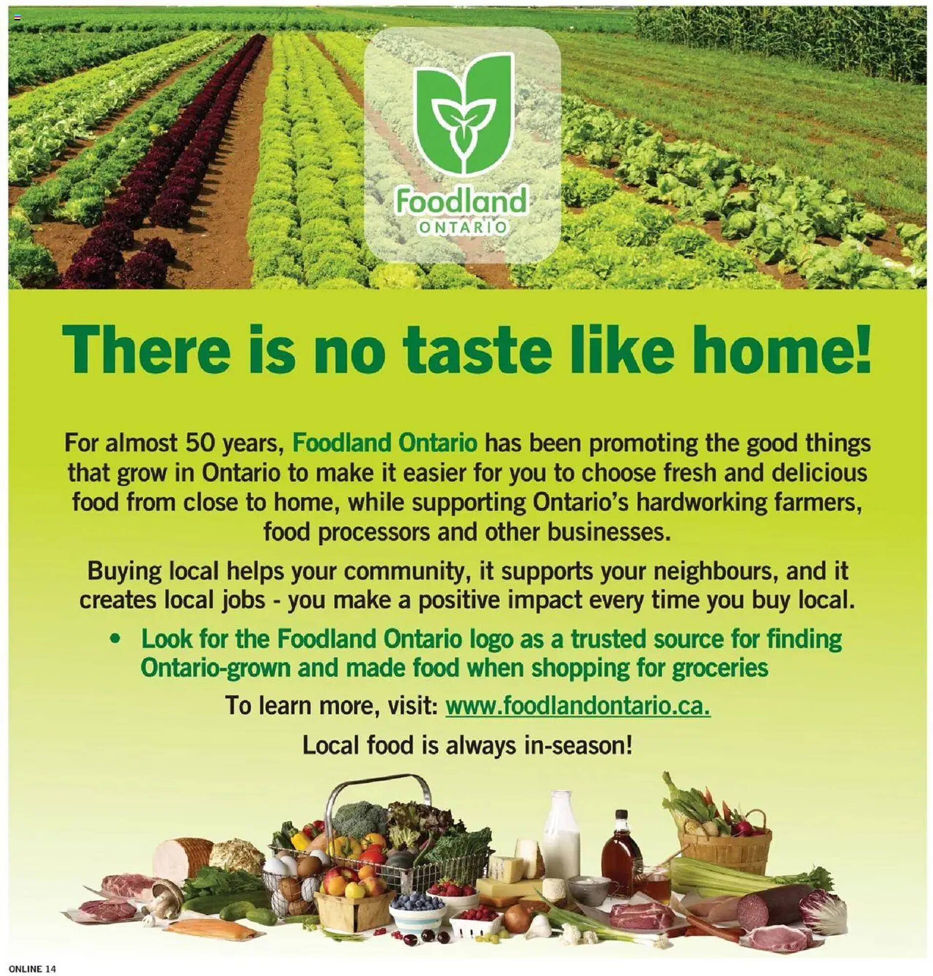 Fortinos flyer