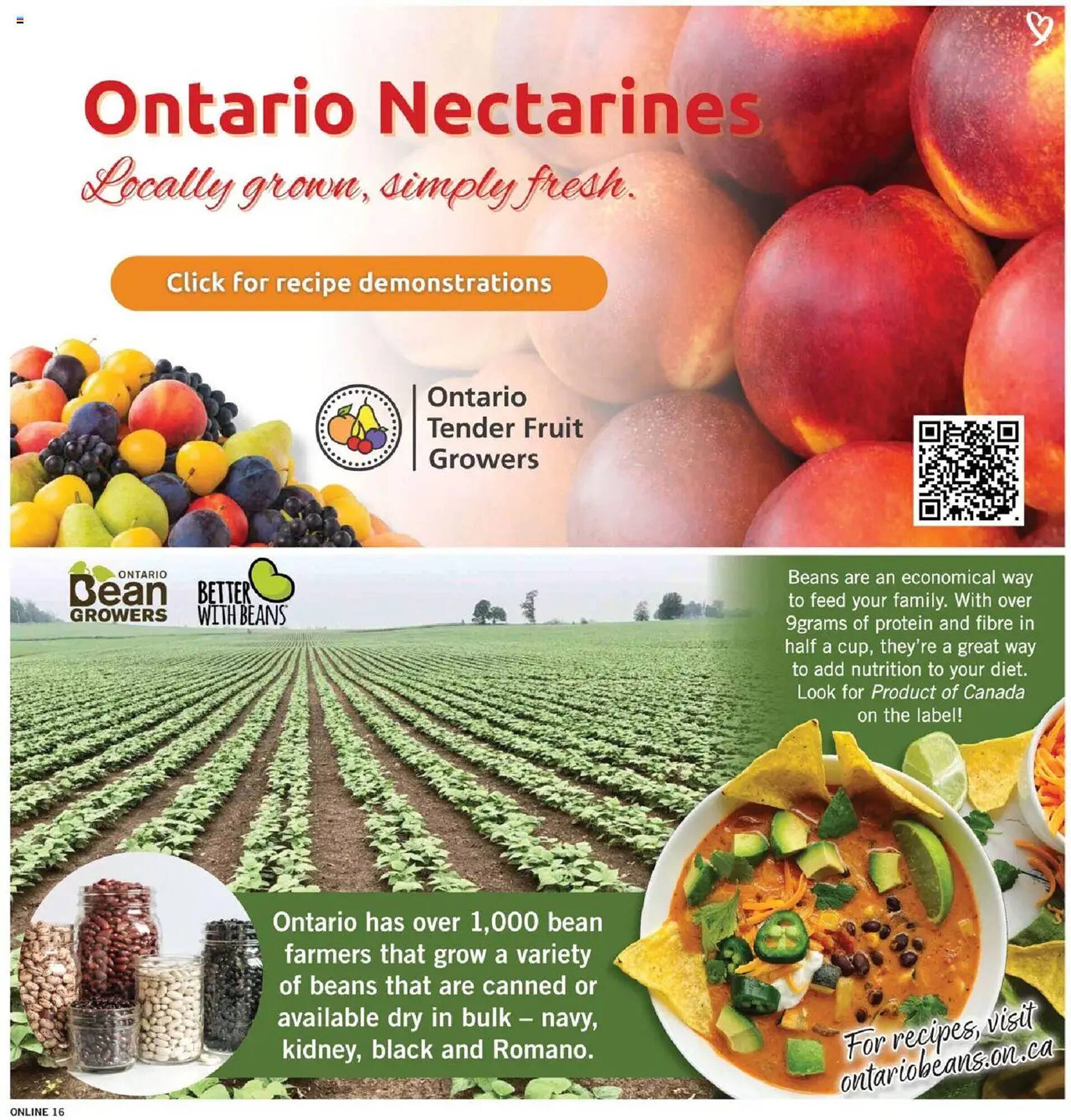 Fortinos flyer
