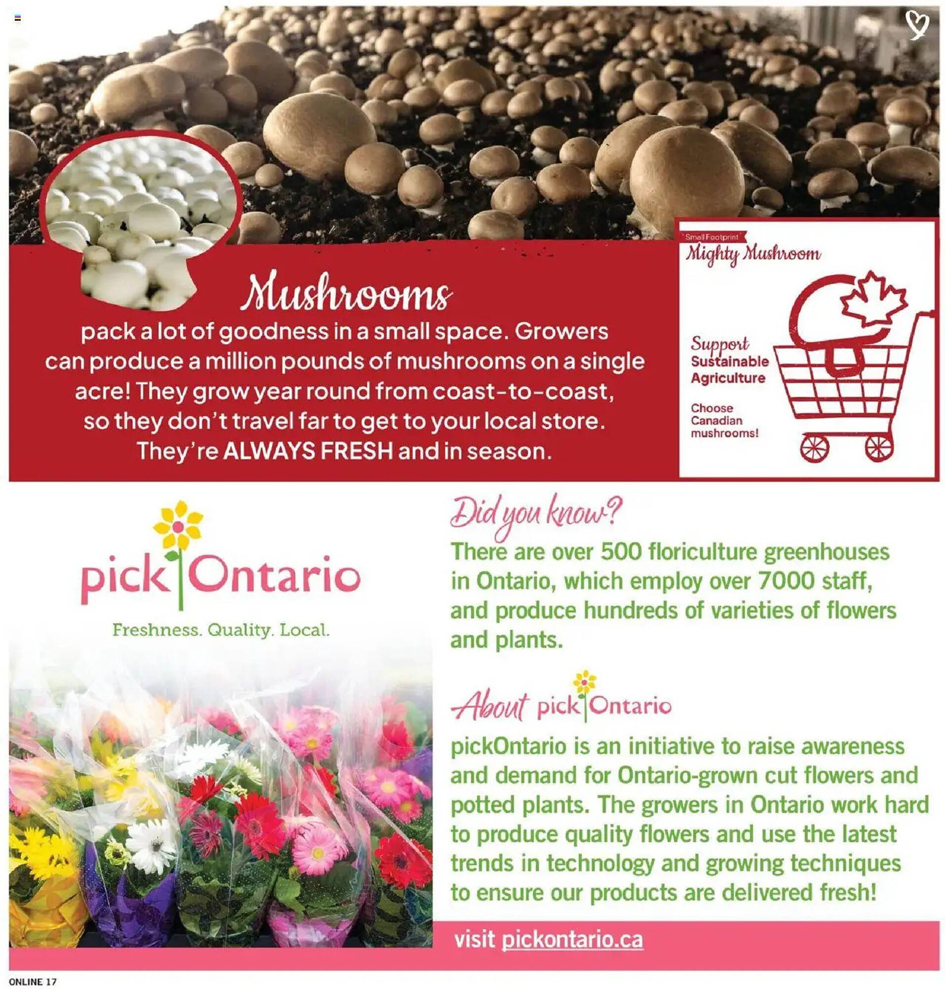 Fortinos flyer