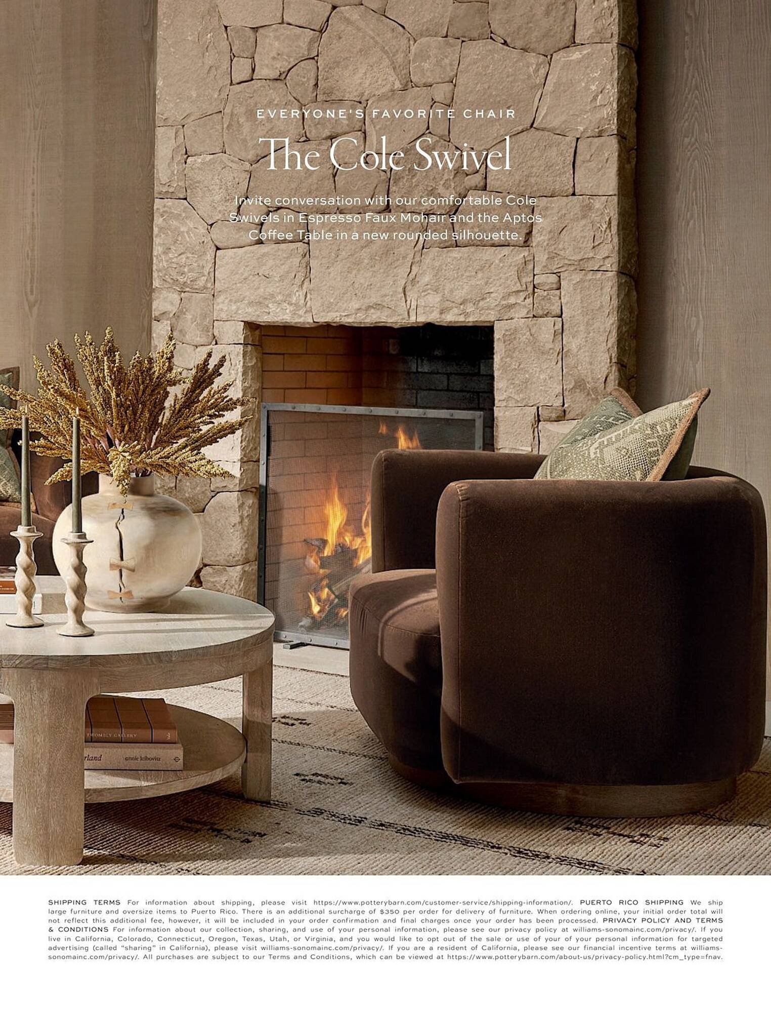 Pottery Barn flyer
