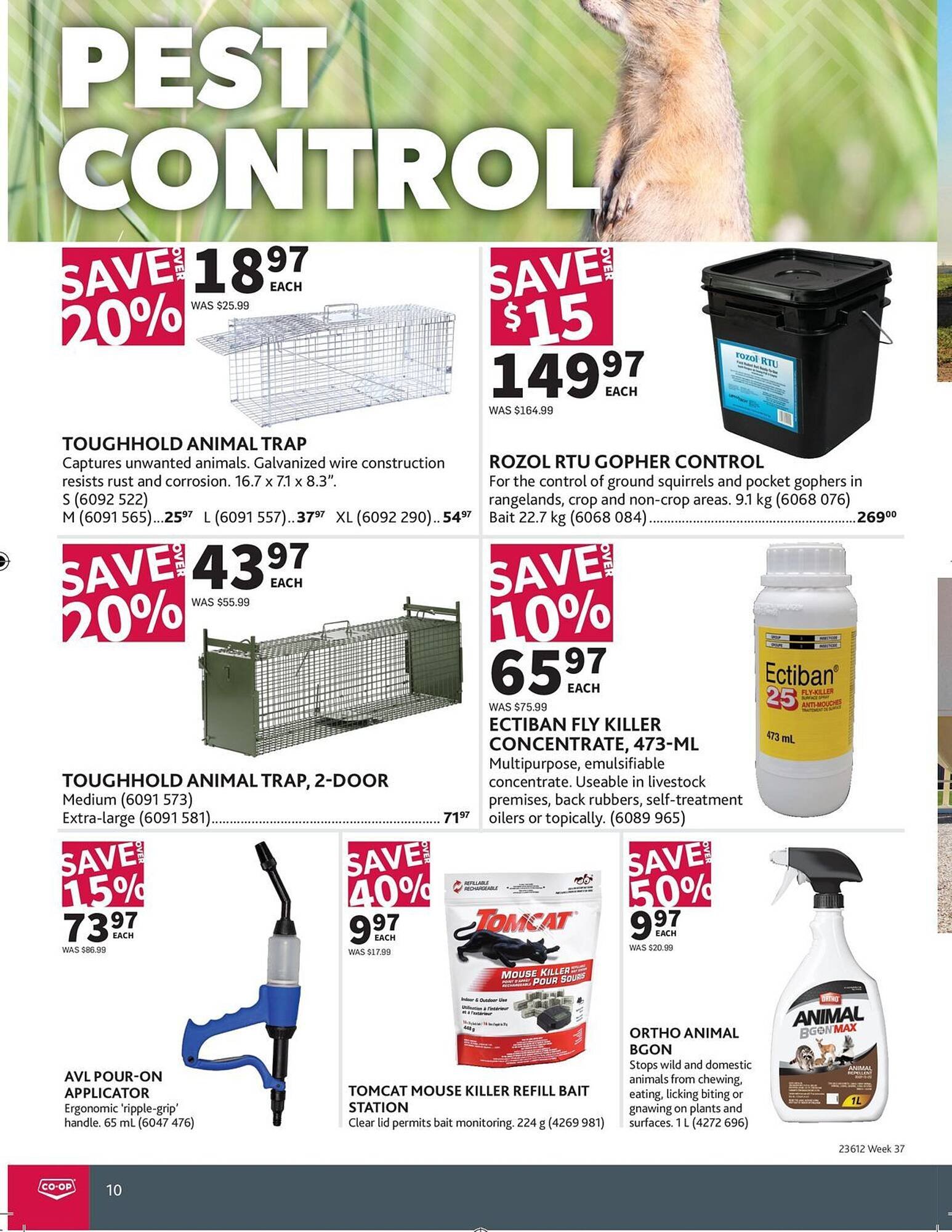 Co-Op Food flyer