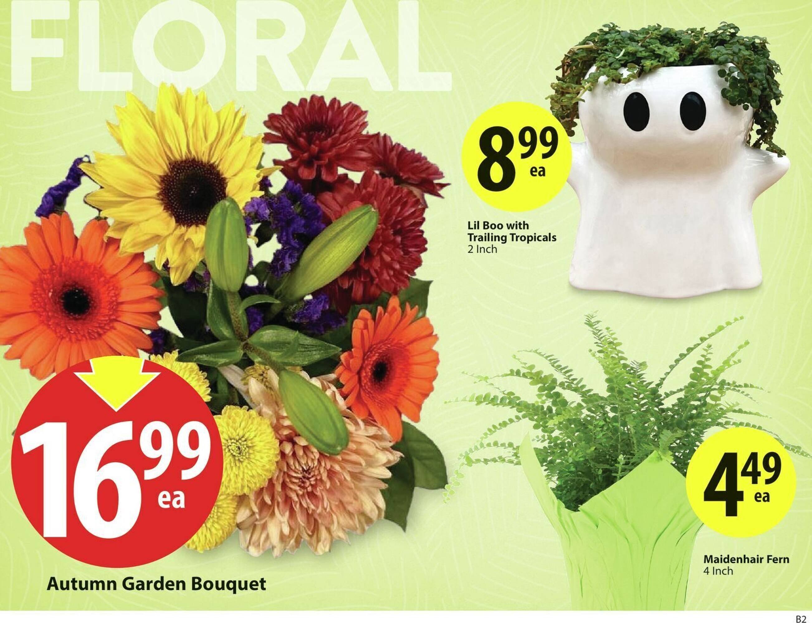 Save on Foods flyer