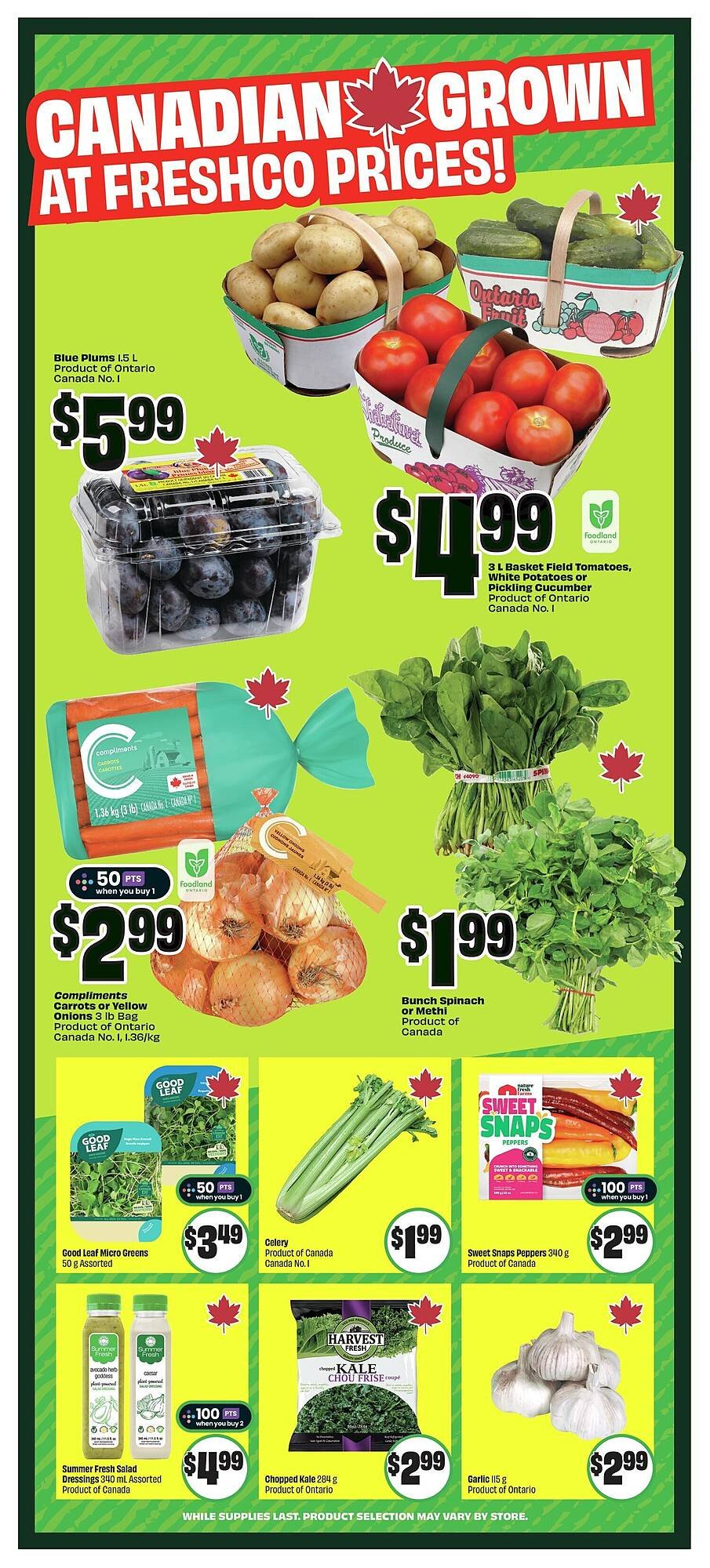 FreshCo flyer