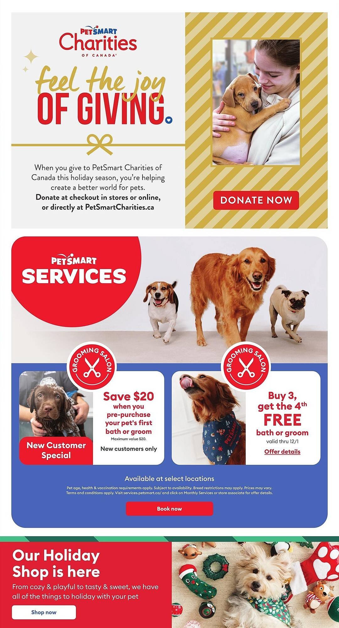 Petsmart flyer