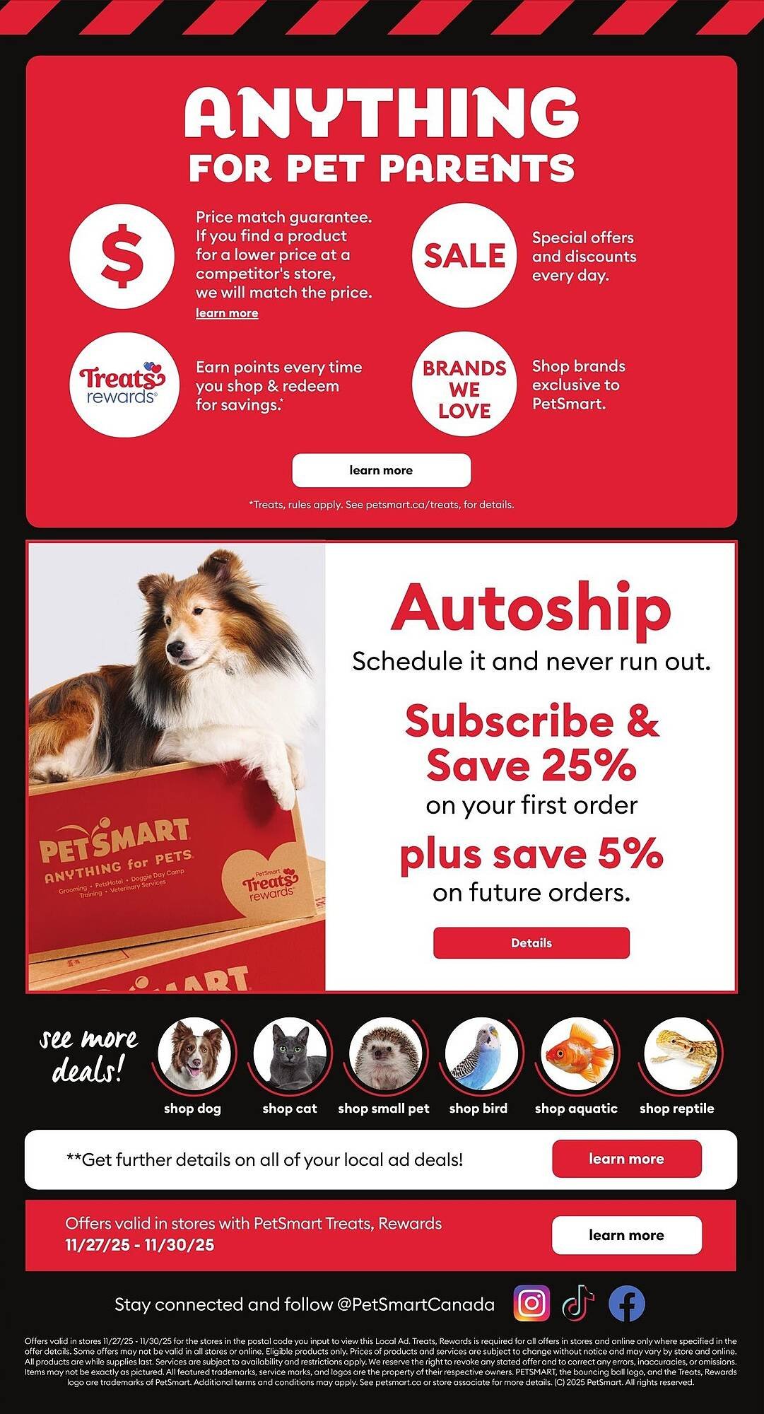 Petsmart flyer