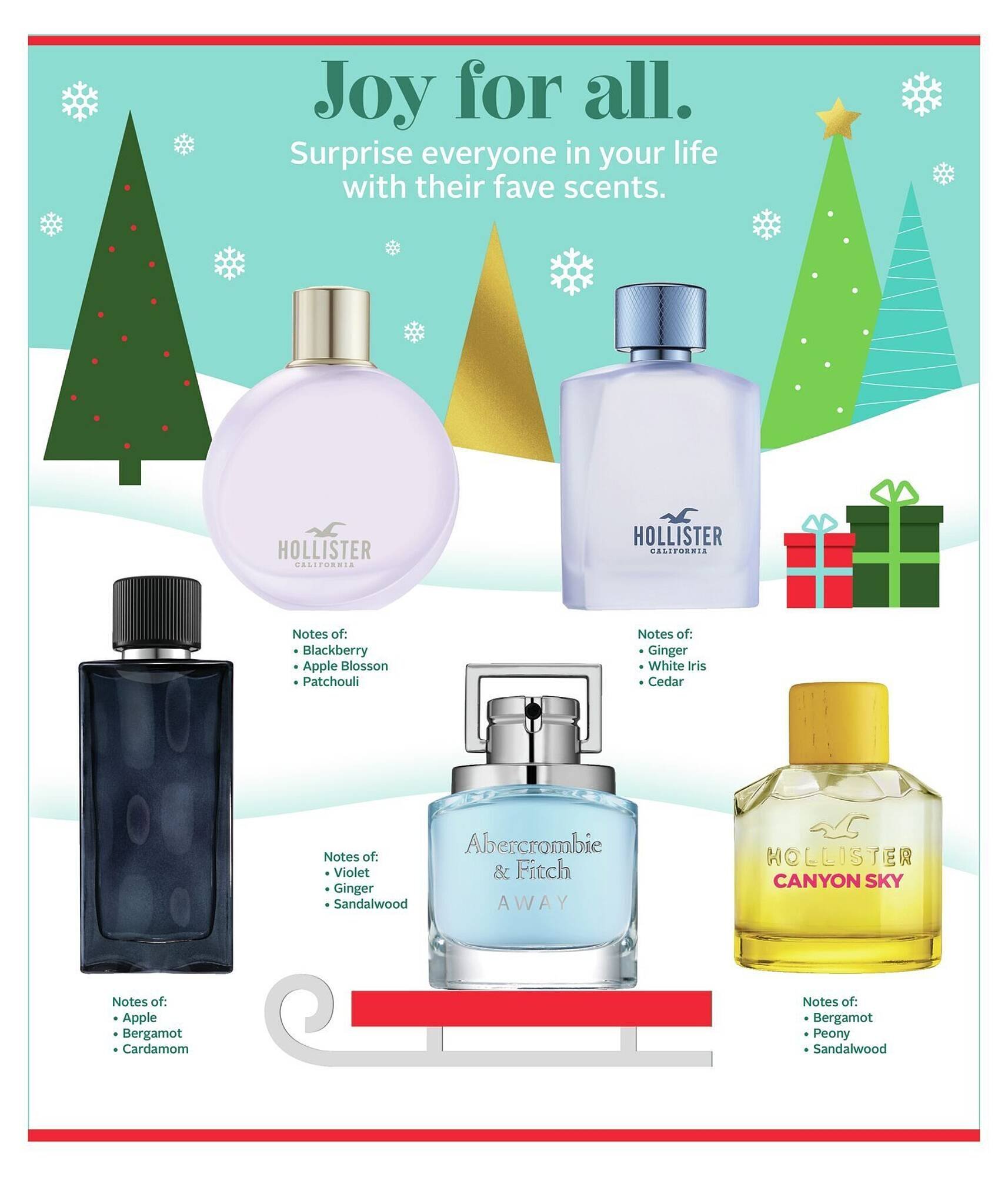 Rexall flyer (2025-12-19 - 2025-12-25) | 31