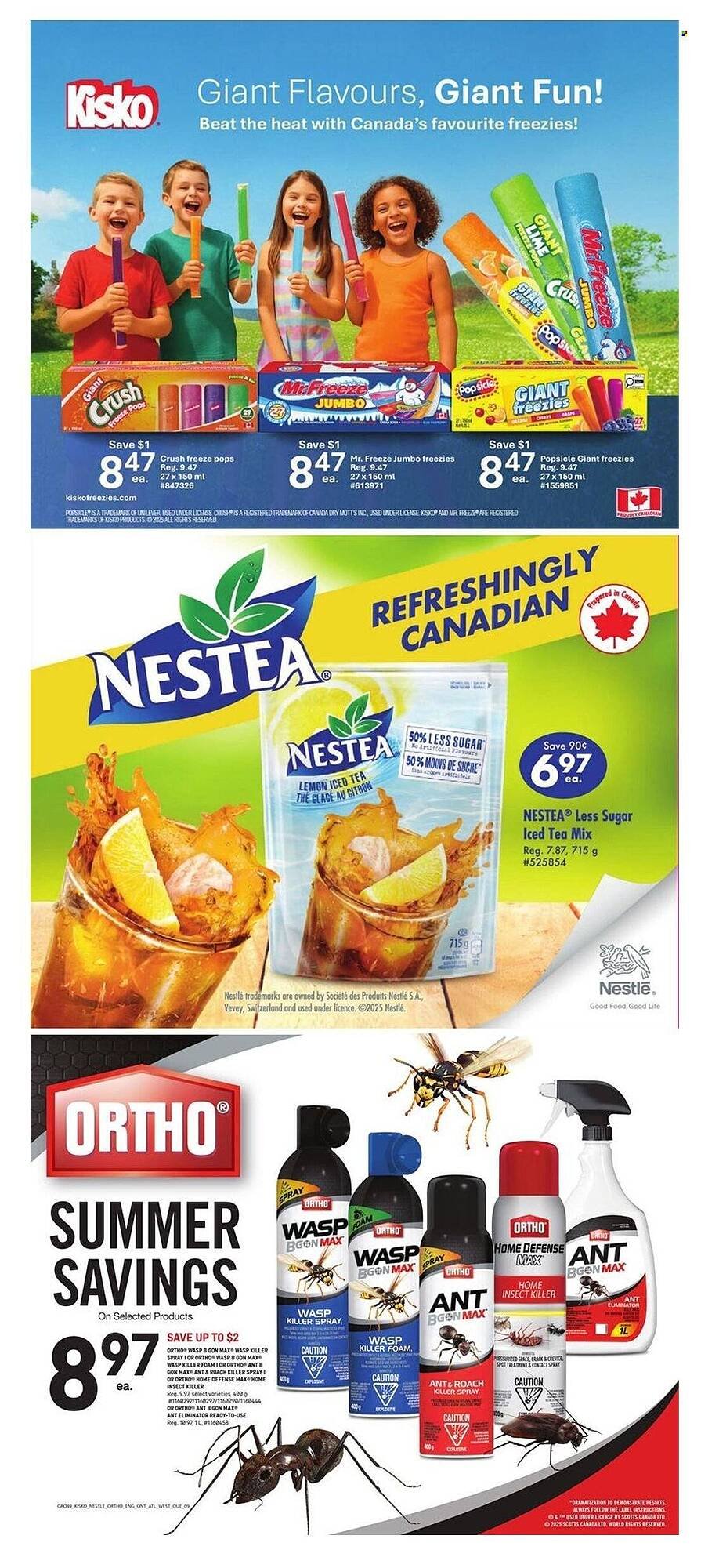 Giant Tiger flyer