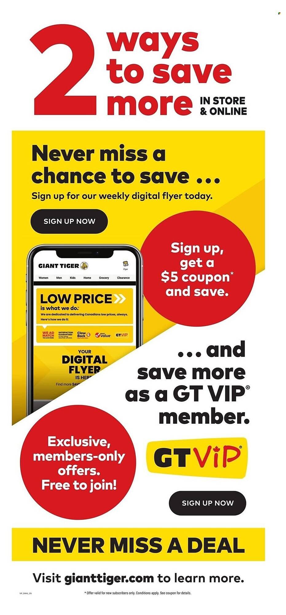 Giant Tiger flyer