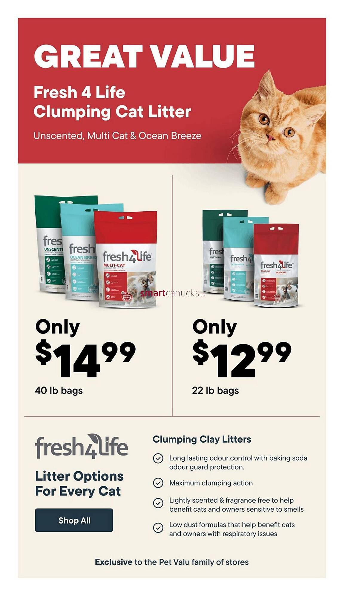 Petvalu flyer
