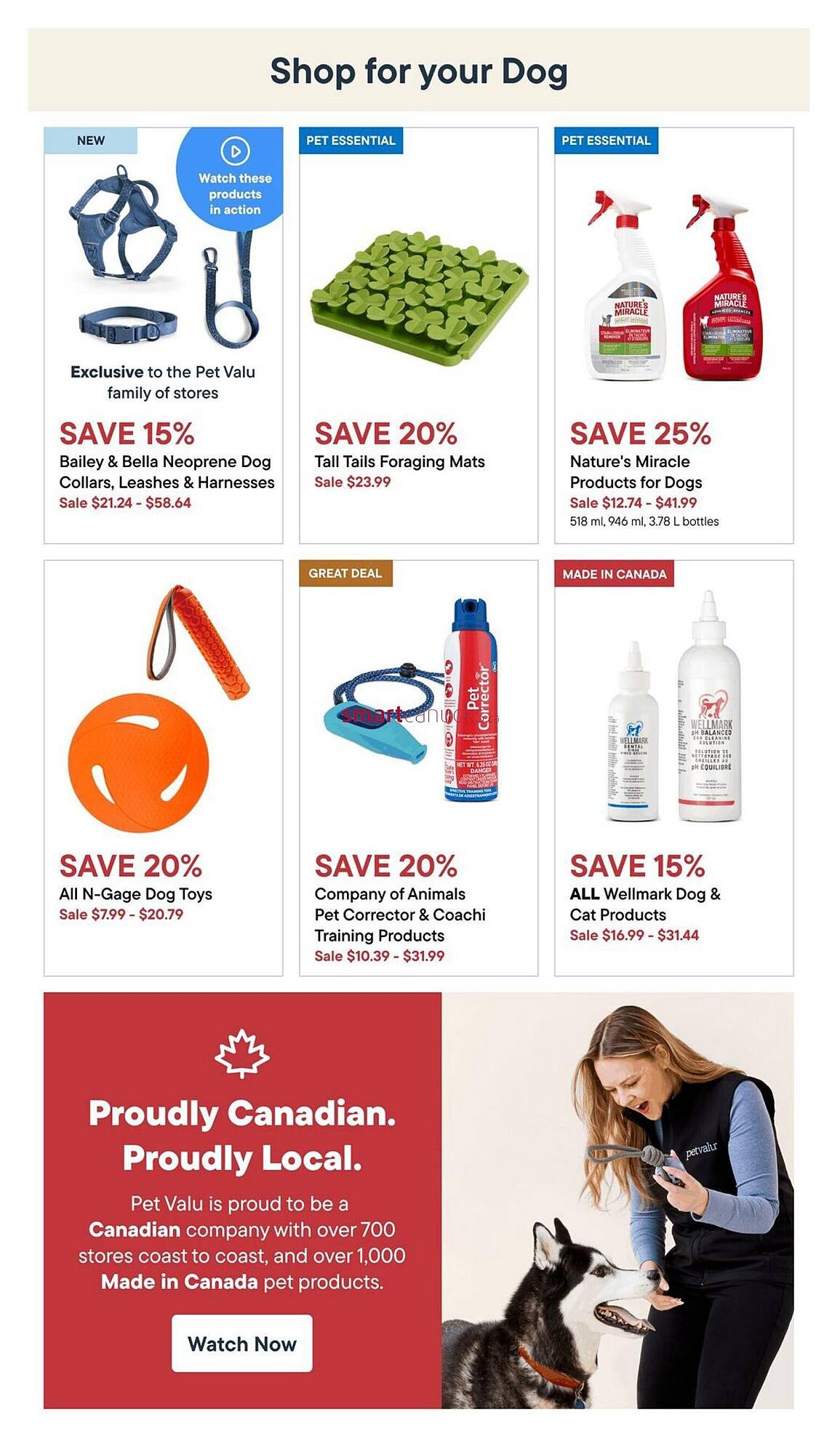Petvalu flyer
