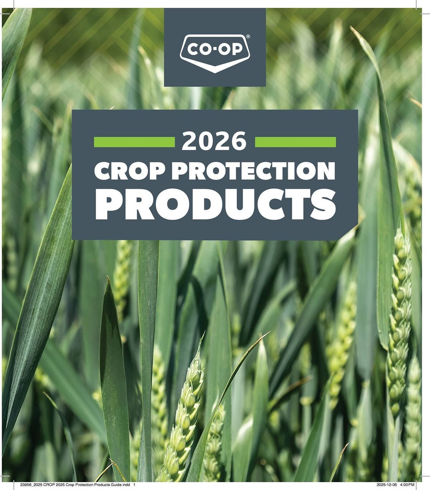 Co-op flyer (2025-12-29 - 2026-12-24) | 1