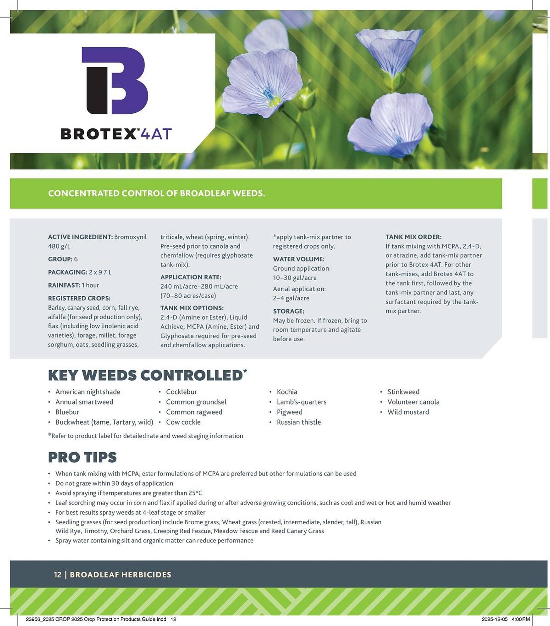 Co-op flyer (2025-12-29 - 2026-12-24) | 12