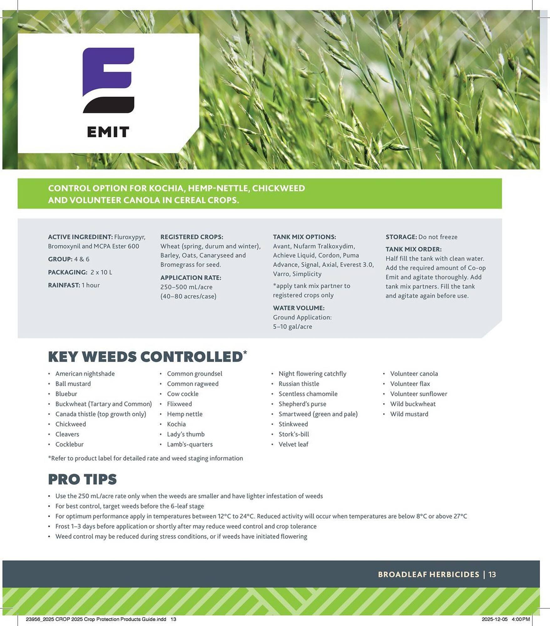 Co-op flyer (2025-12-29 - 2026-12-24) | 13