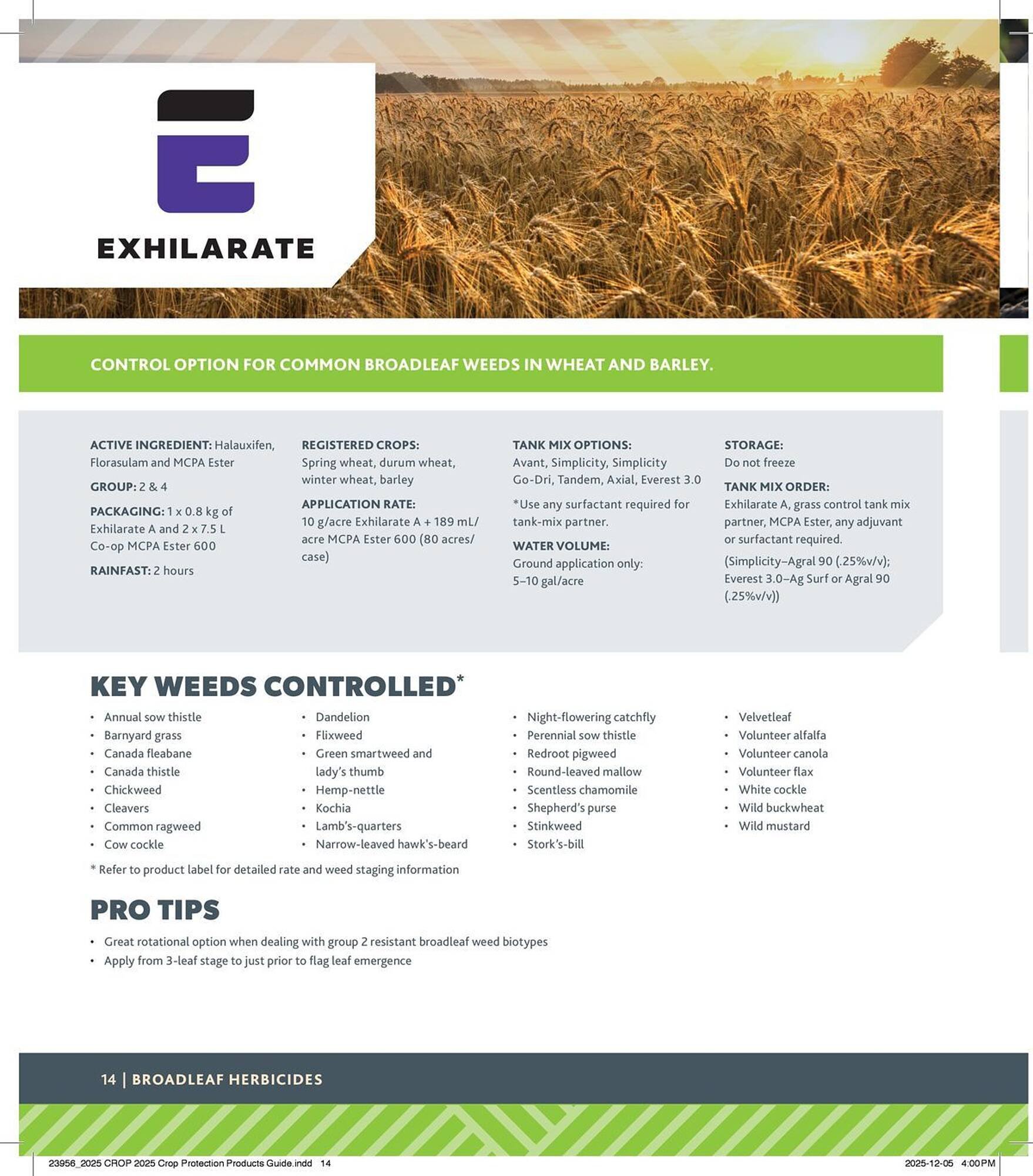 Co-op flyer (2025-12-29 - 2026-12-24) | 14