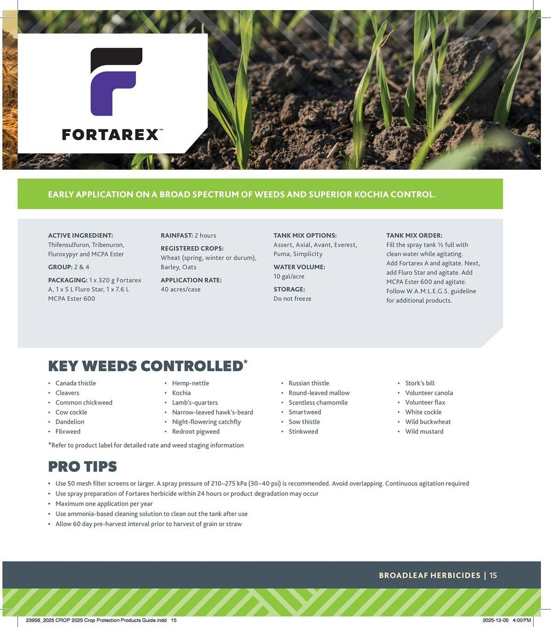 Co-op flyer (2025-12-29 - 2026-12-24) | 15