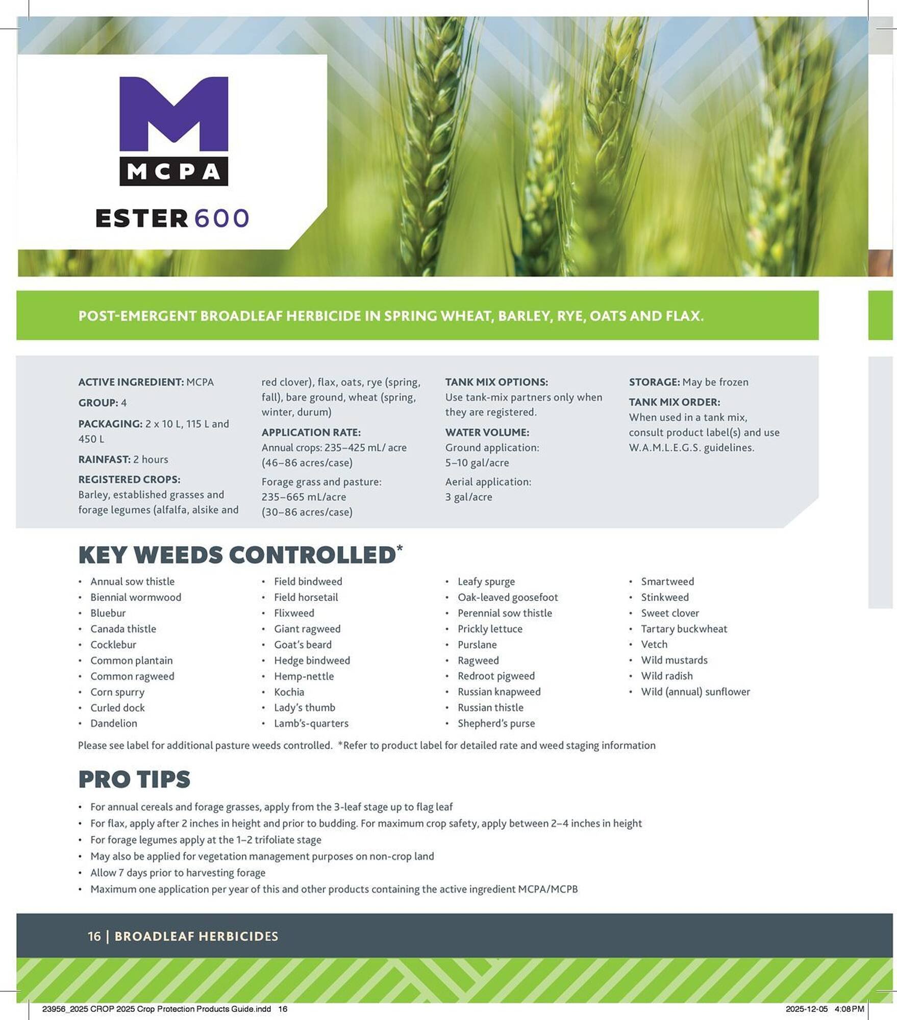 Co-op flyer (2025-12-29 - 2026-12-24) | 16