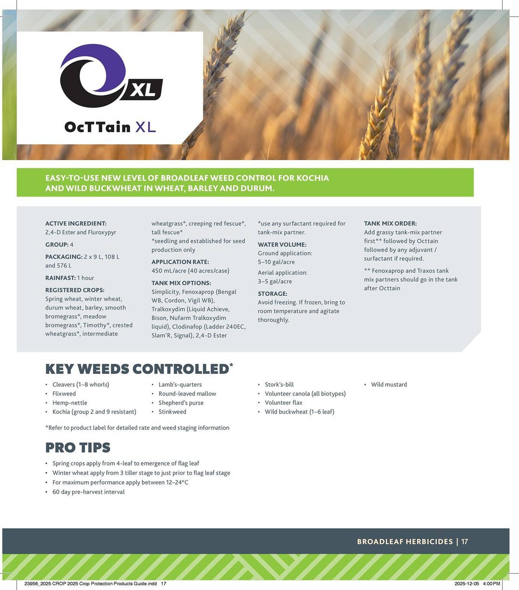 Co-op flyer (2025-12-29 - 2026-12-24) | 17