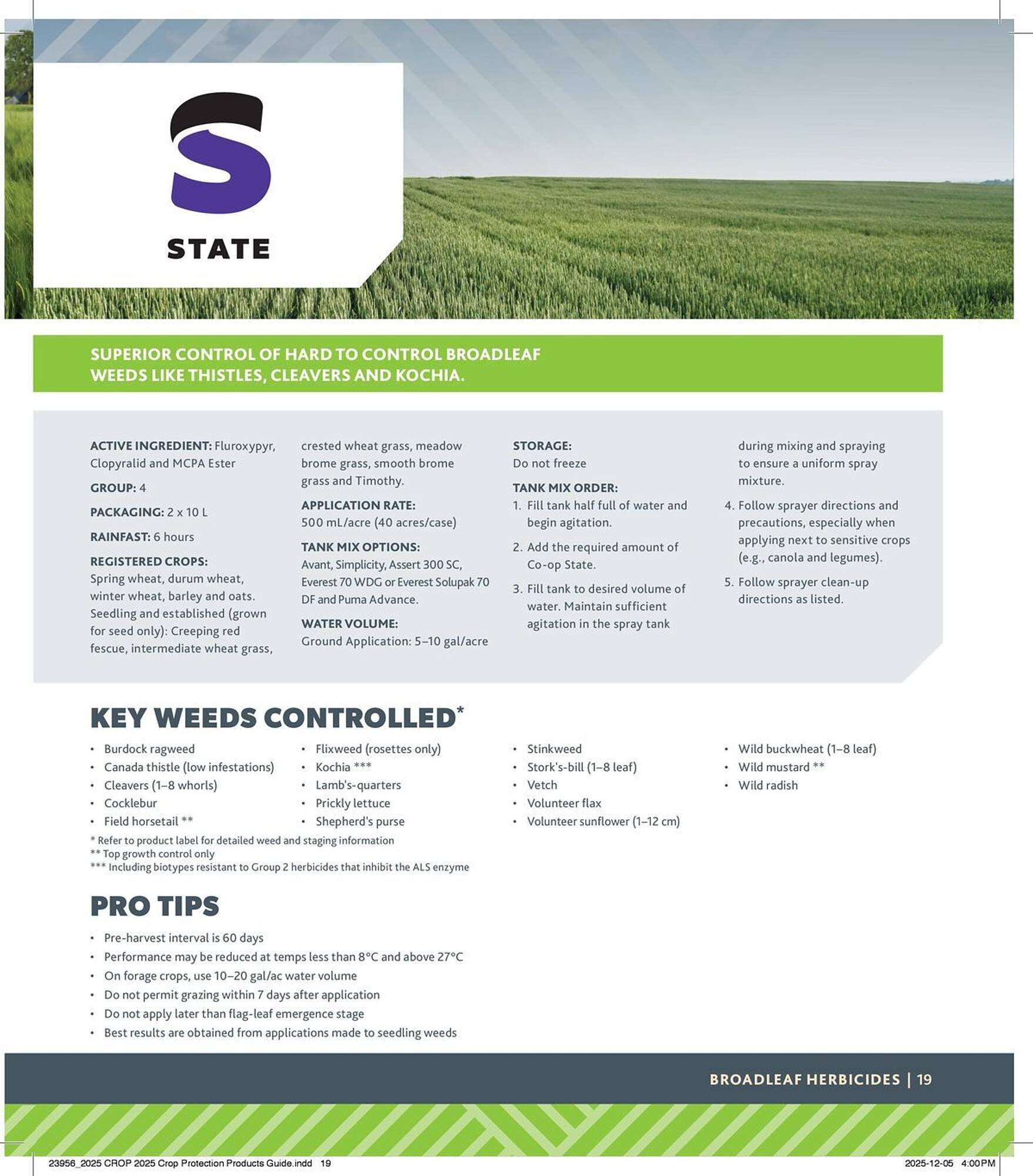 Co-op flyer (2025-12-29 - 2026-12-24) | 19