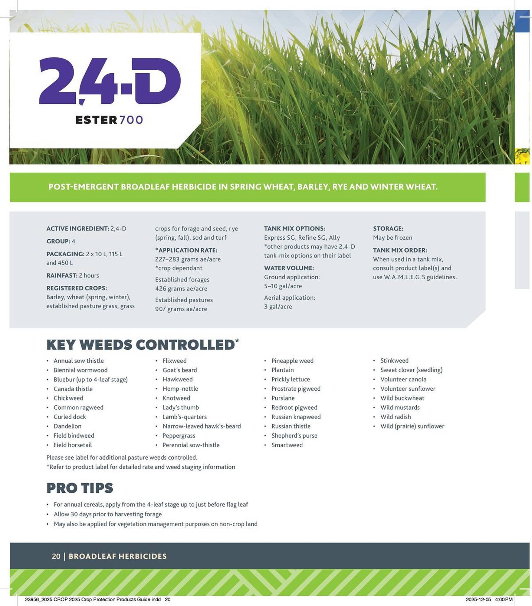 Co-op flyer (2025-12-29 - 2026-12-24) | 20