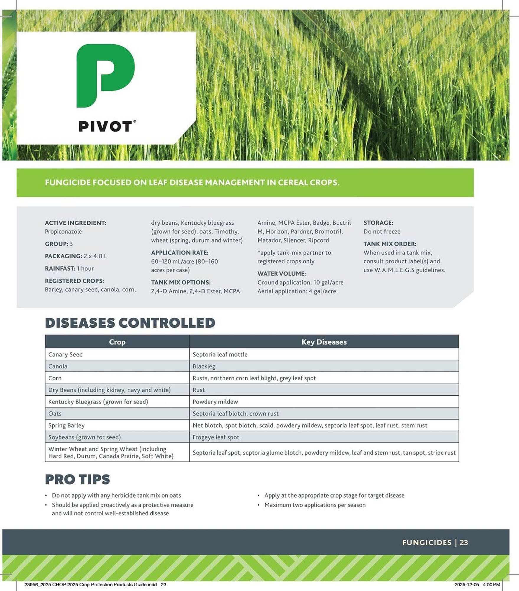 Co-op flyer (2025-12-29 - 2026-12-24) | 23