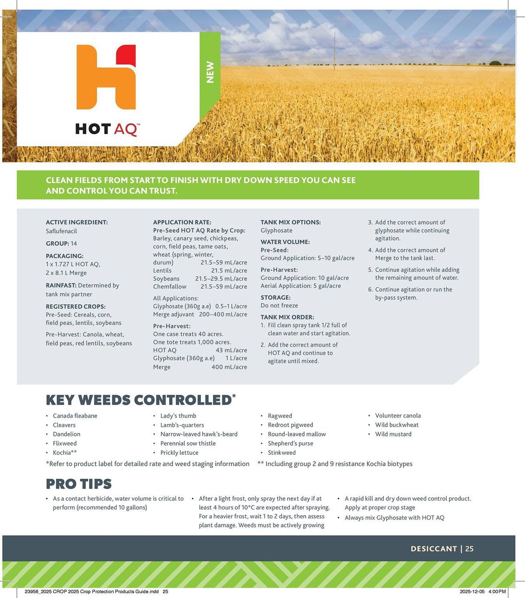 Co-op flyer (2025-12-29 - 2026-12-24) | 25