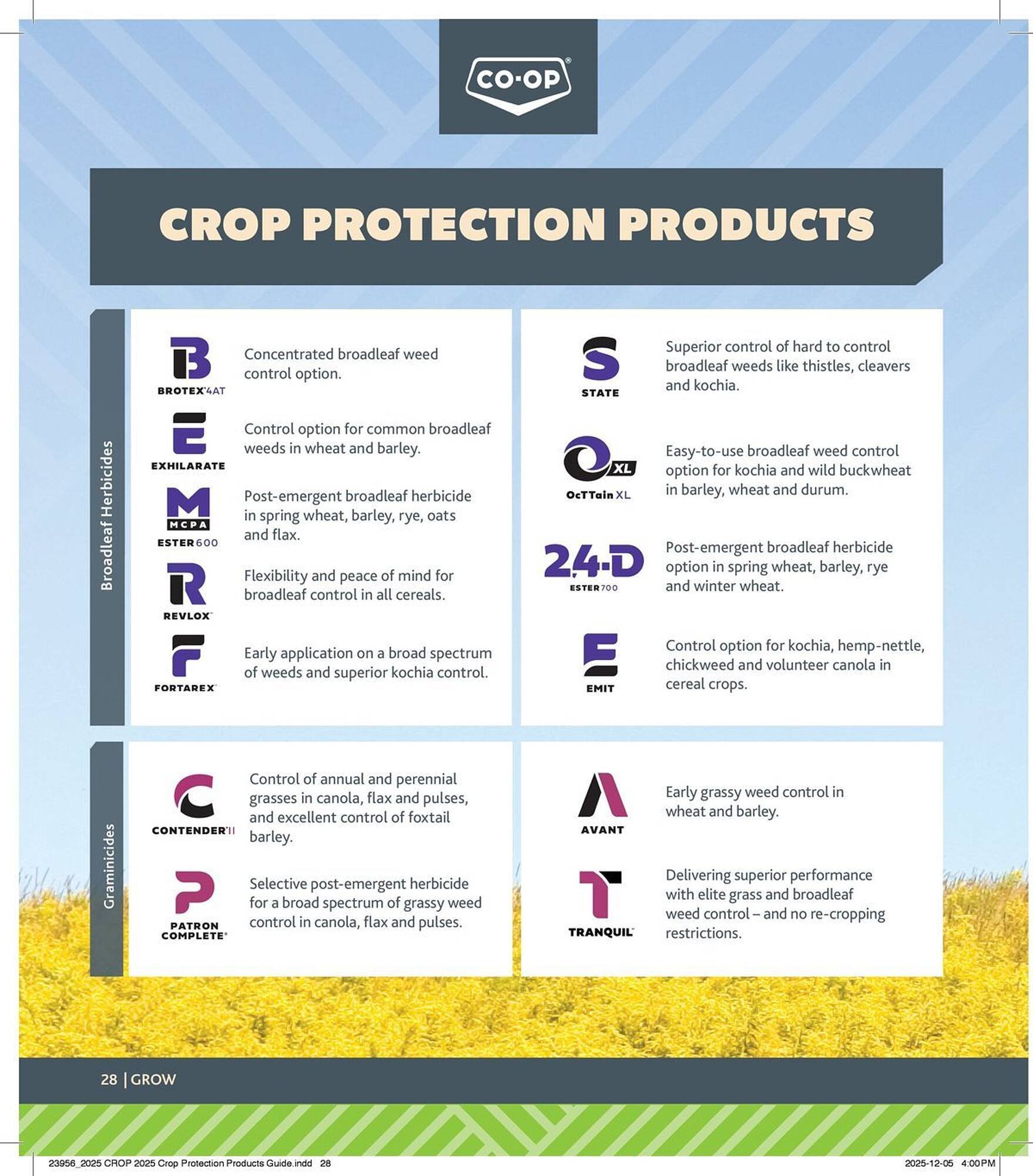 Co-op flyer (2025-12-29 - 2026-12-24) | 28