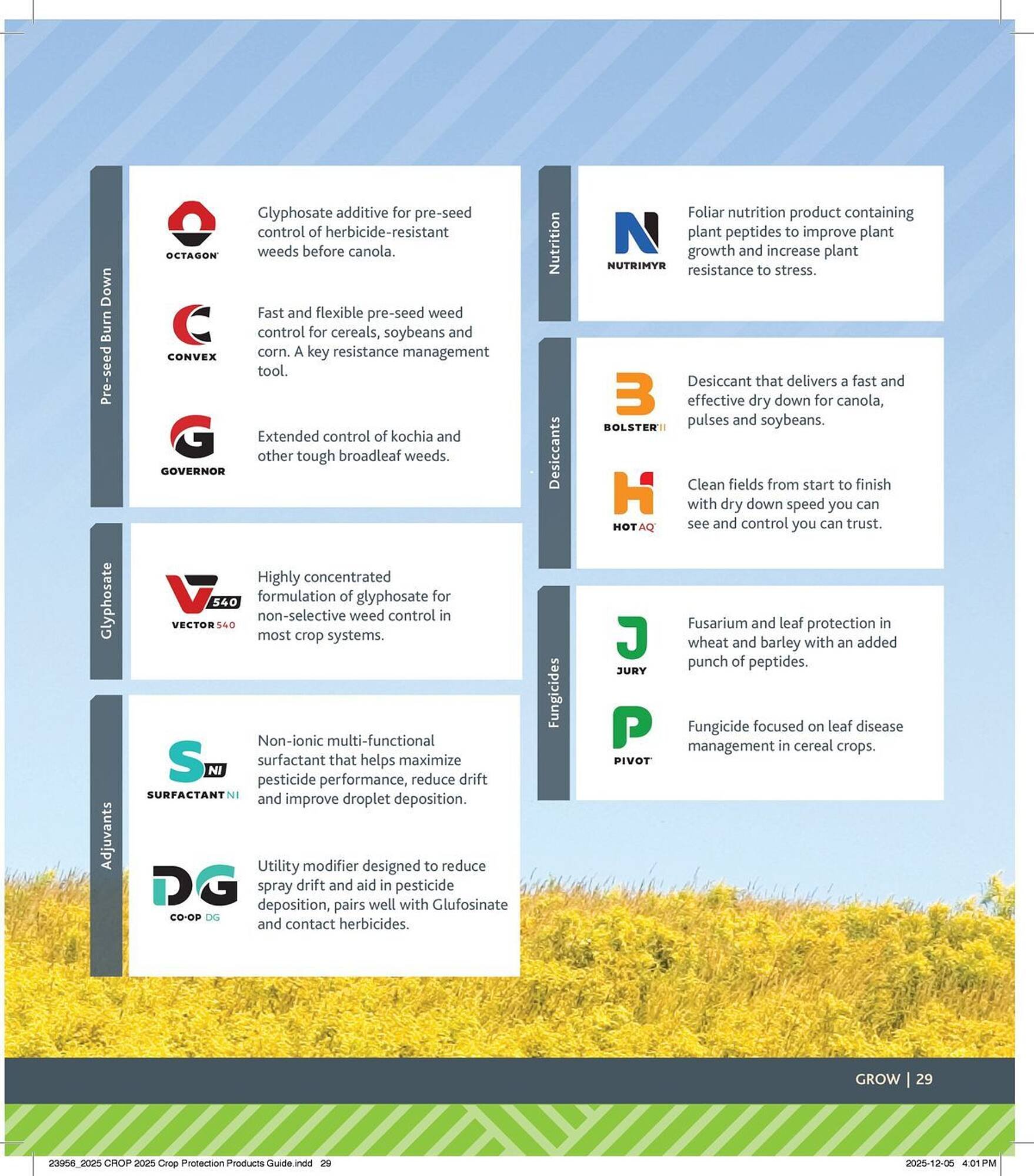 Co-op flyer (2025-12-29 - 2026-12-24) | 29