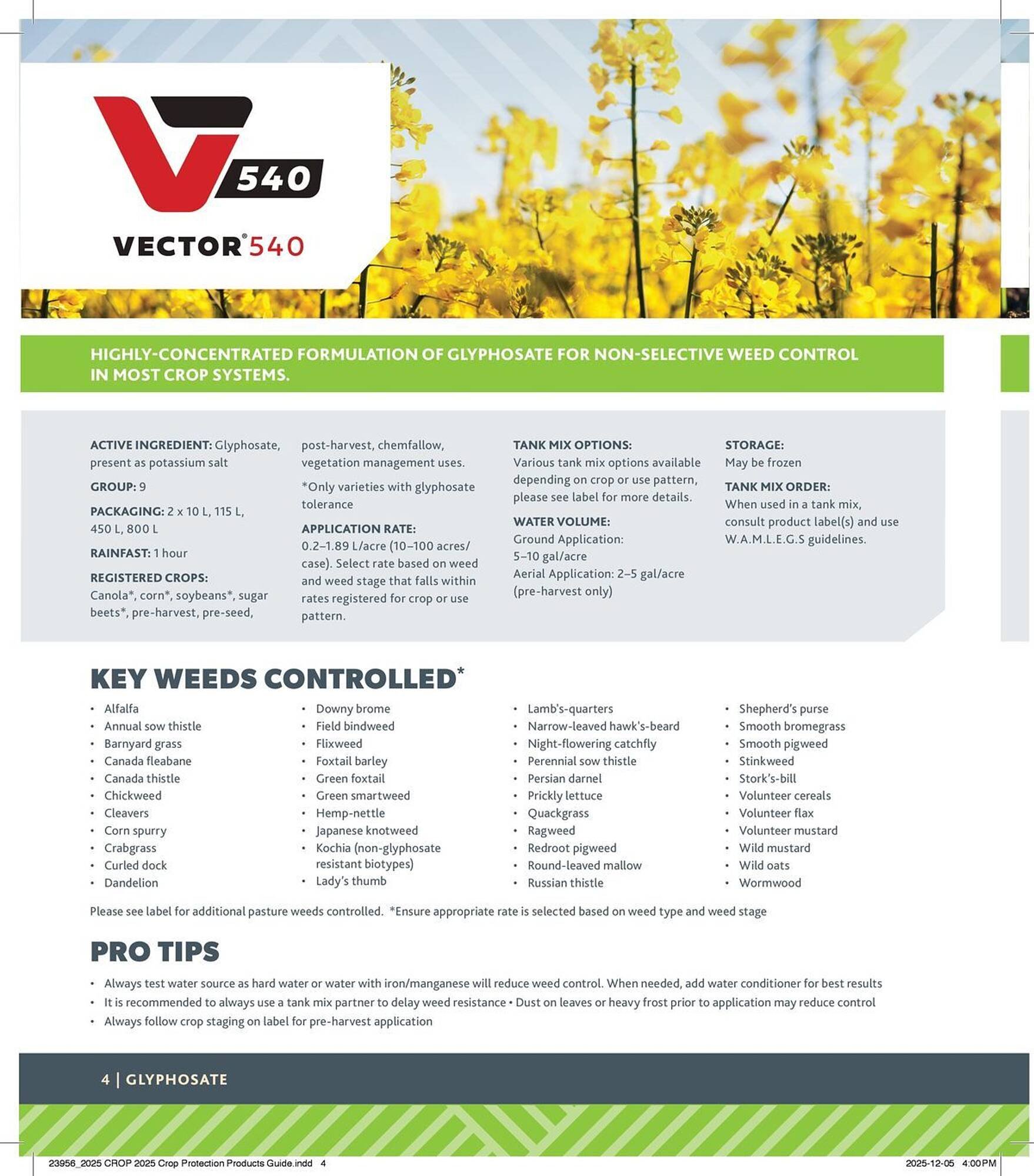 Co-op flyer (2025-12-29 - 2026-12-24) | 4