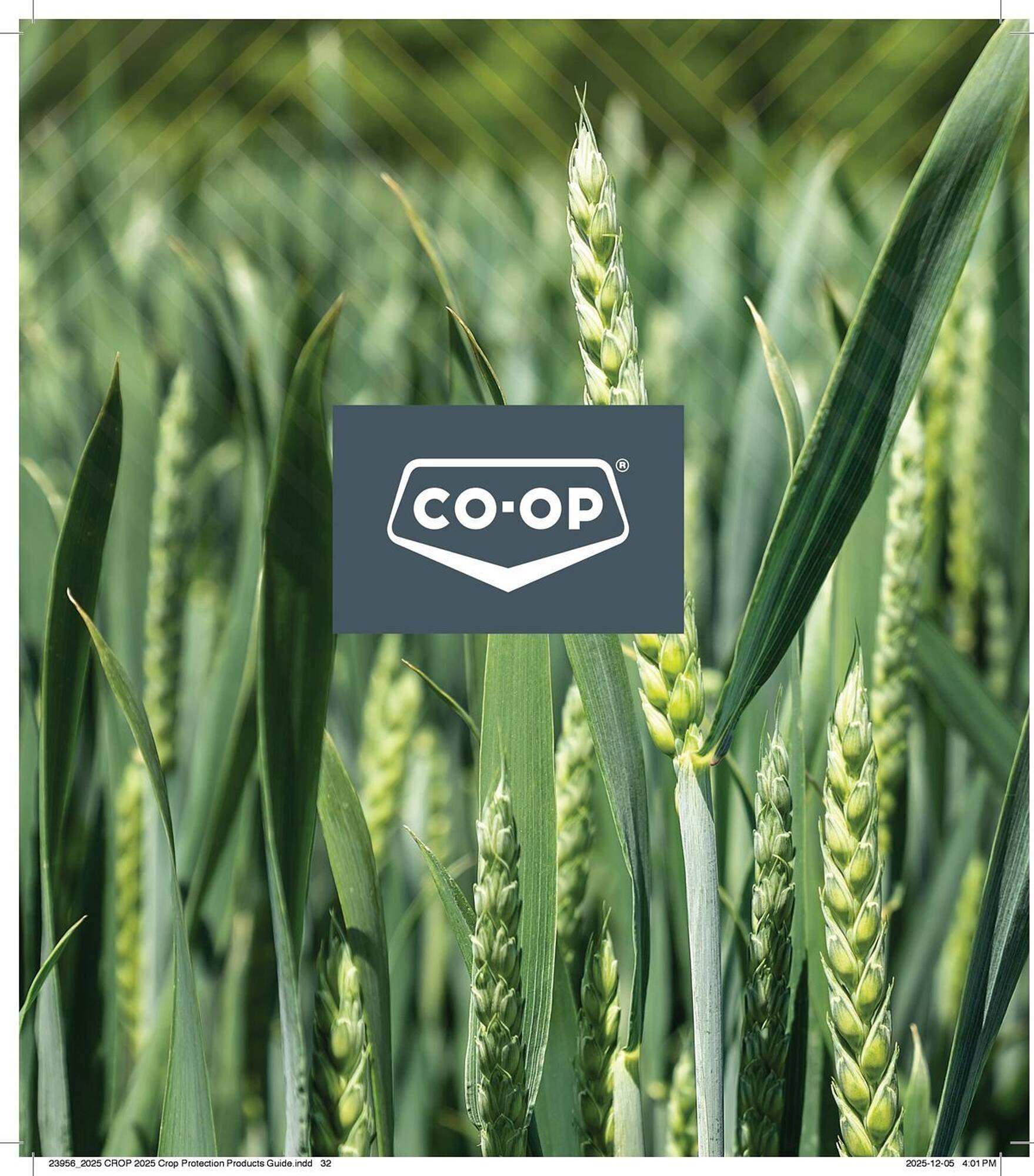 Co-op flyer (2025-12-29 - 2026-12-24) | 32