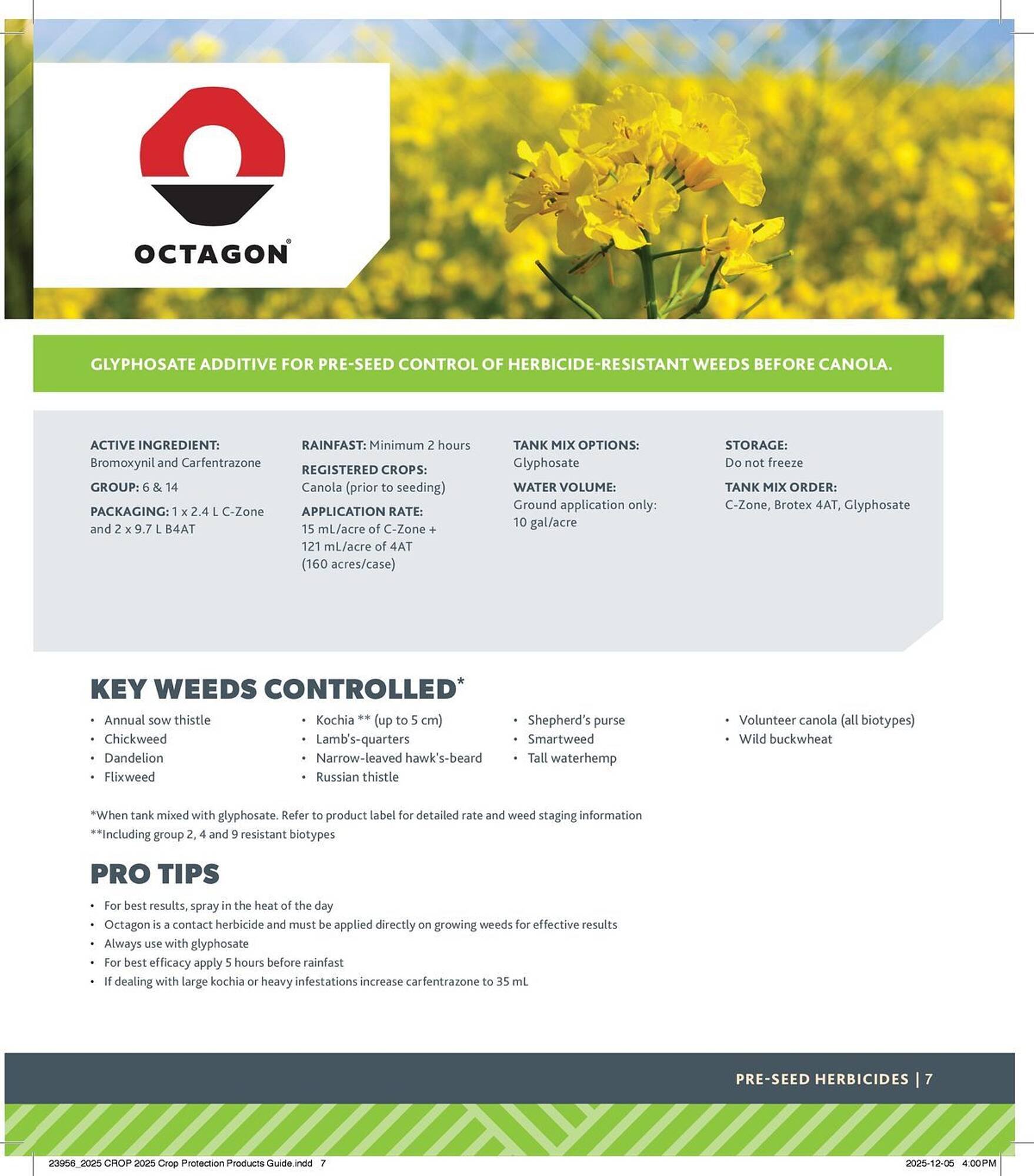 Co-op flyer (2025-12-29 - 2026-12-24) | 7