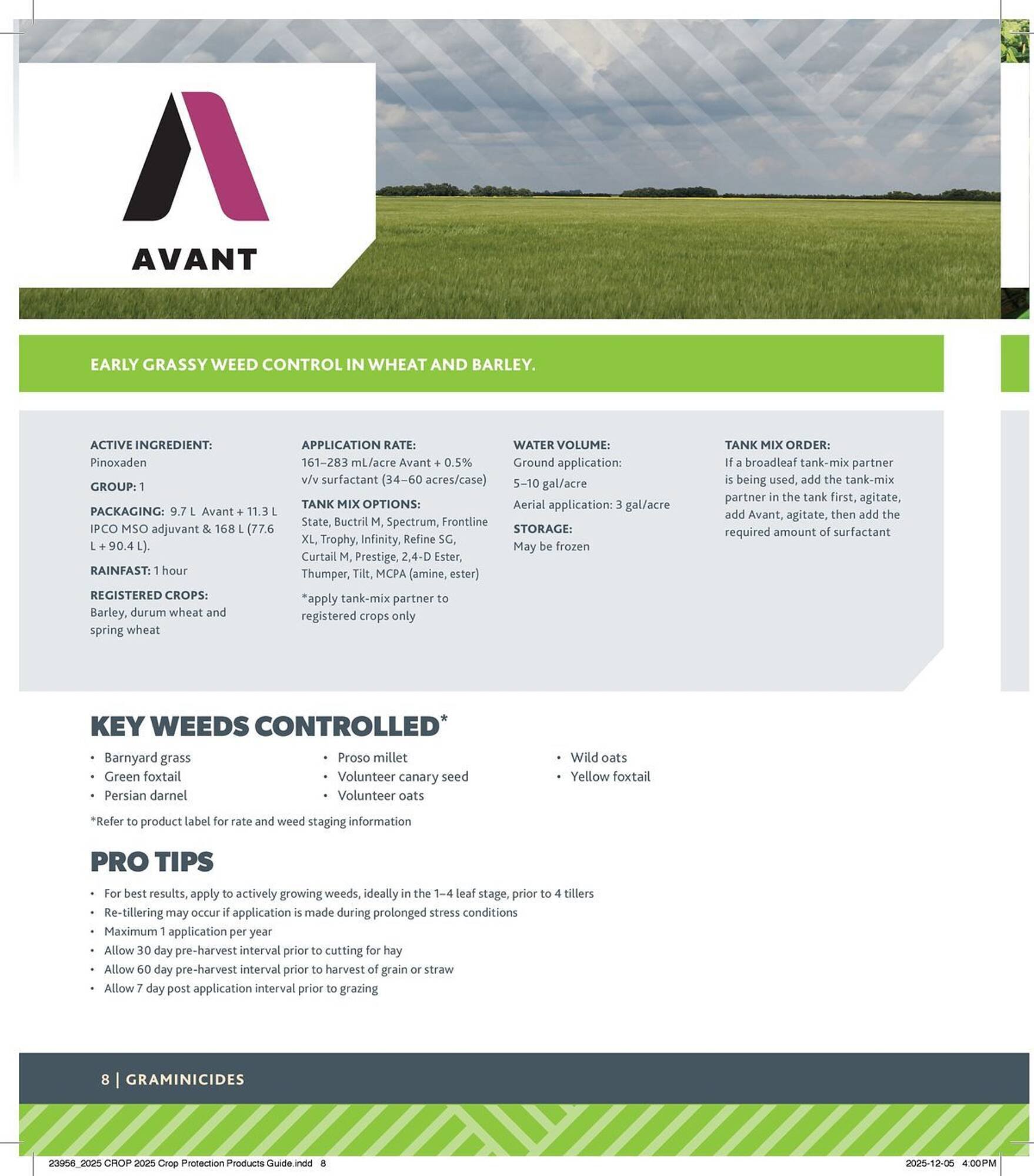 Co-op flyer (2025-12-29 - 2026-12-24) | 8